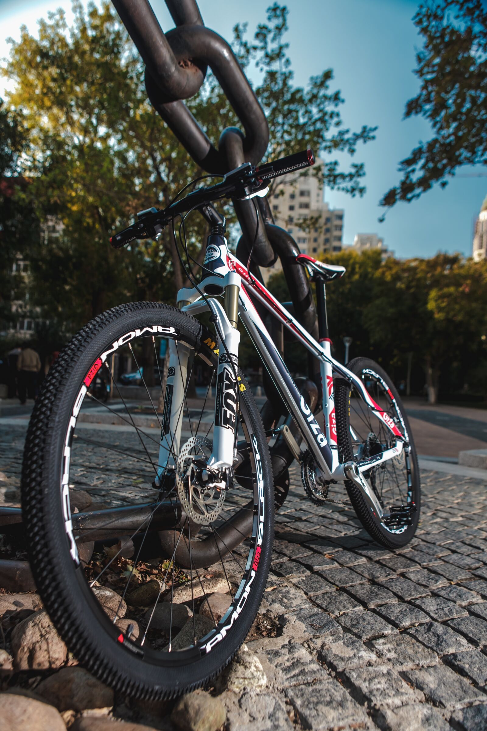 Canon EF 24-70mm F2.8L USM sample photo. Bicycle, bike, park photography