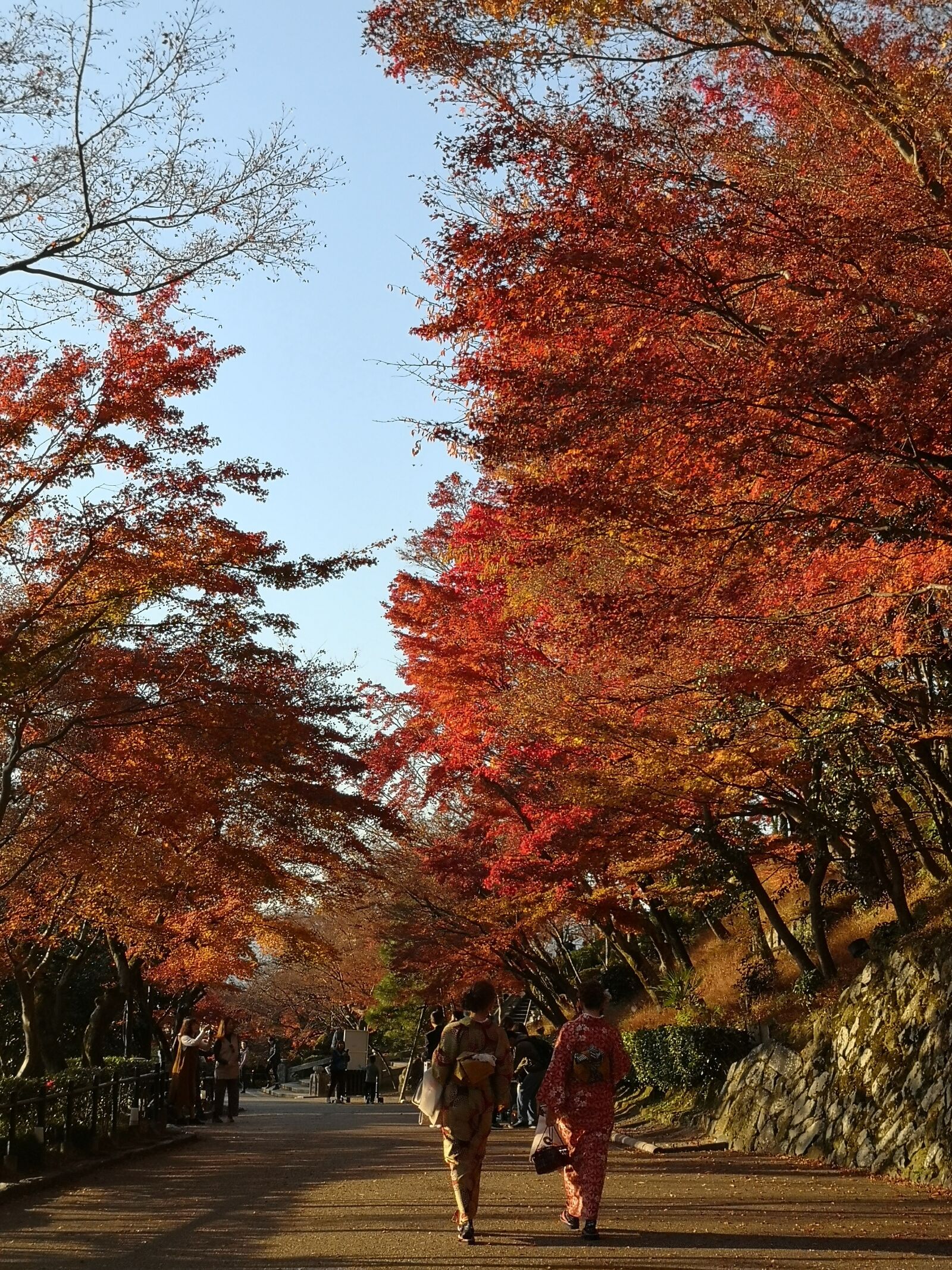 HUAWEI Mate 10 Pro sample photo. Japan, autumn, landscape photography
