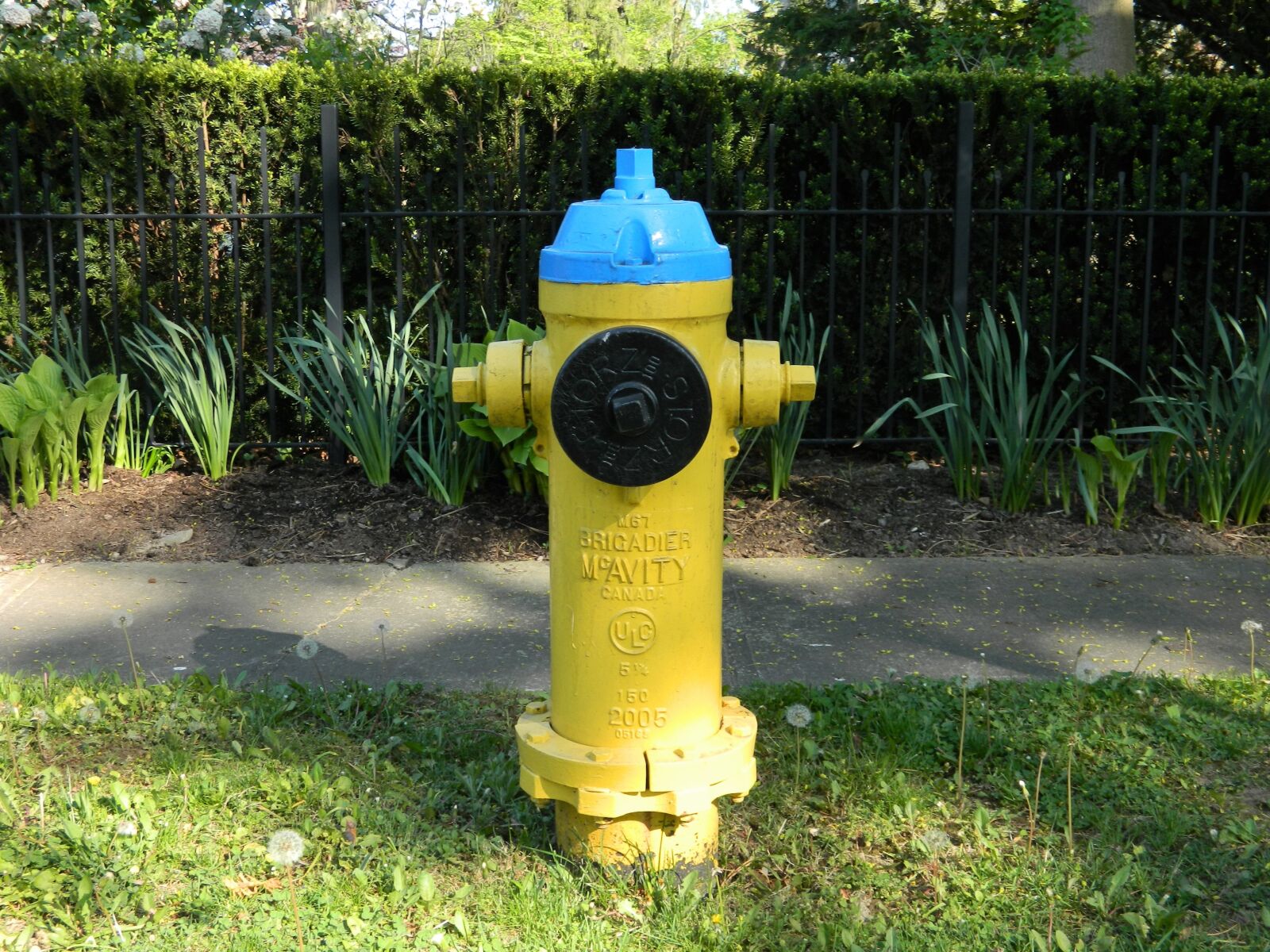 Nikon Coolpix L120 sample photo. Hydrant, water connection, fire photography