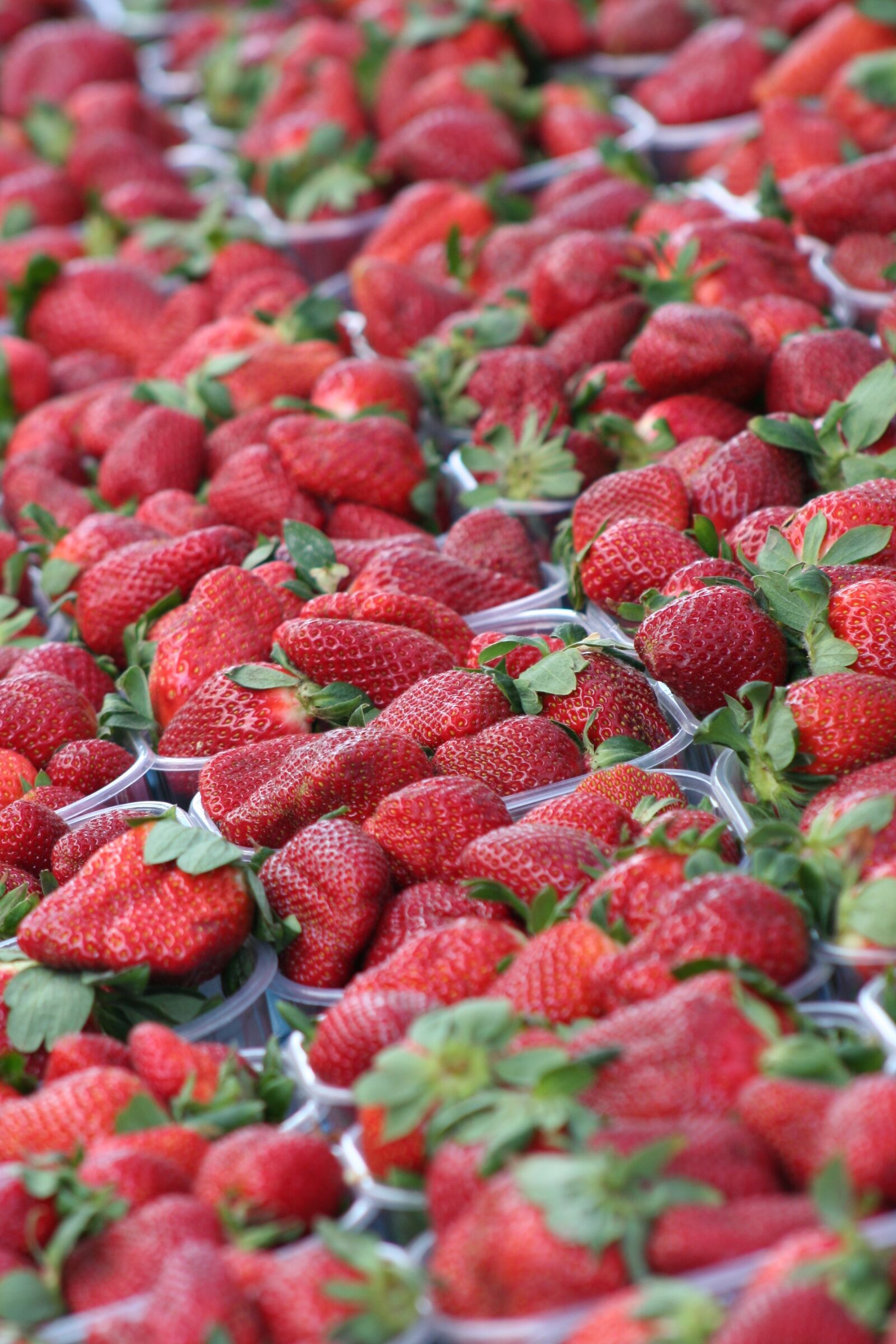 Canon EOS 350D (EOS Digital Rebel XT / EOS Kiss Digital N) sample photo. Strawberries, market, summer photography