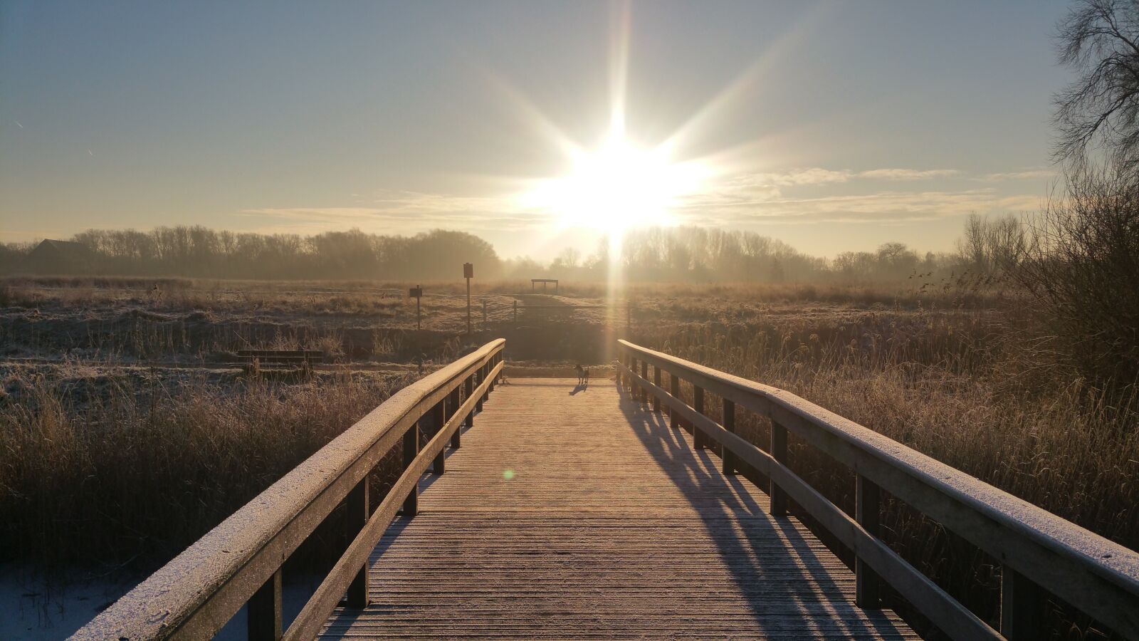 Samsung Galaxy S5 LTE-A sample photo. Winter, sun, landscape photography