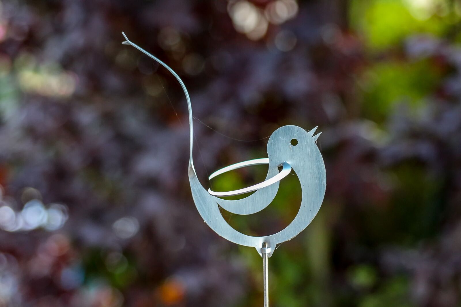 Canon EOS 650D (EOS Rebel T4i / EOS Kiss X6i) sample photo. Bird, aluminium, figure photography