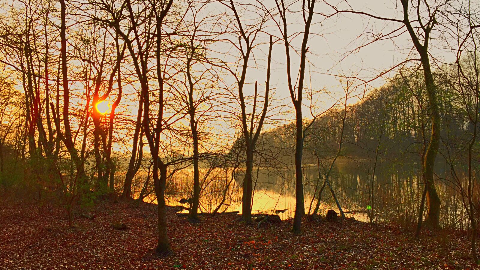 Apple iPhone 6 Plus sample photo. Sundown, lake, autumn photography