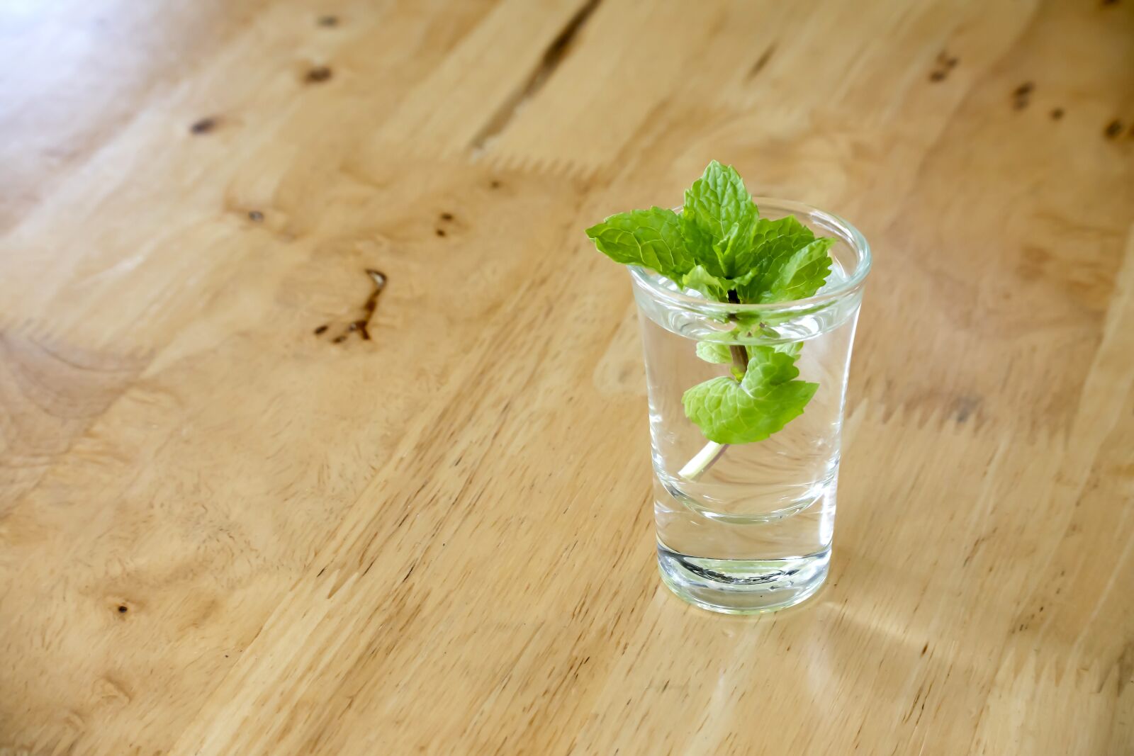 Nikon 1 Nikkor VR 30-110mm F3.8-5.6 sample photo. Peppermint, glass, a photography