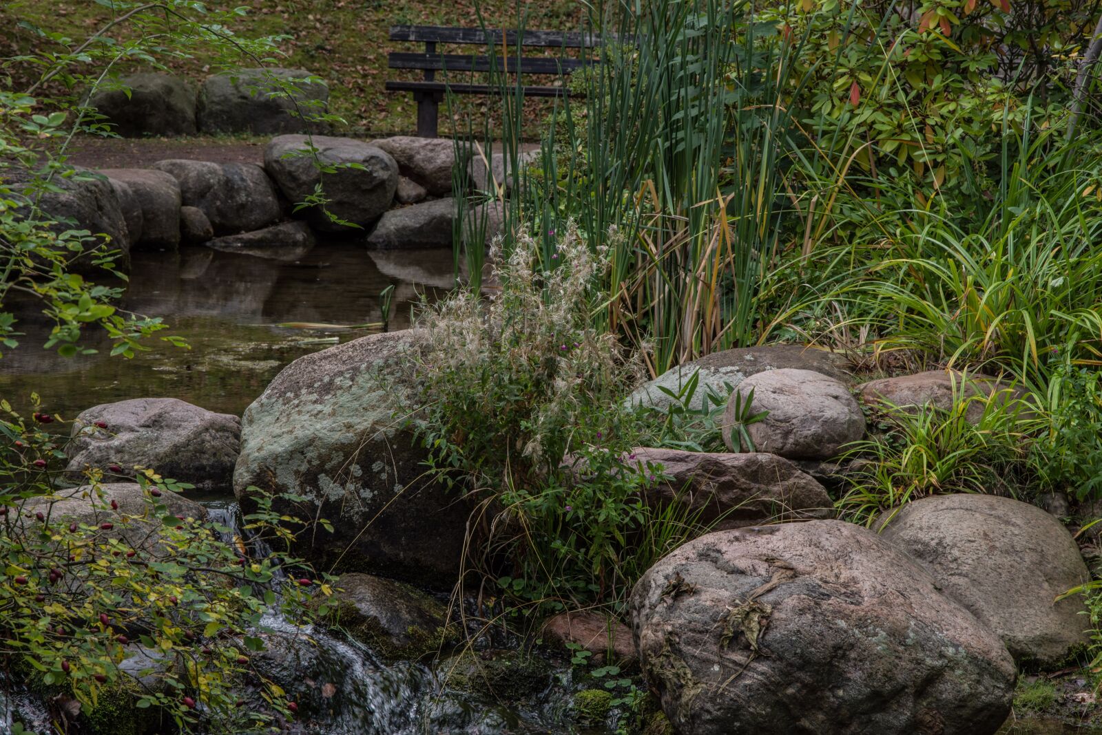 Pentax K-1 Mark II sample photo. Ponds, water, nature photography