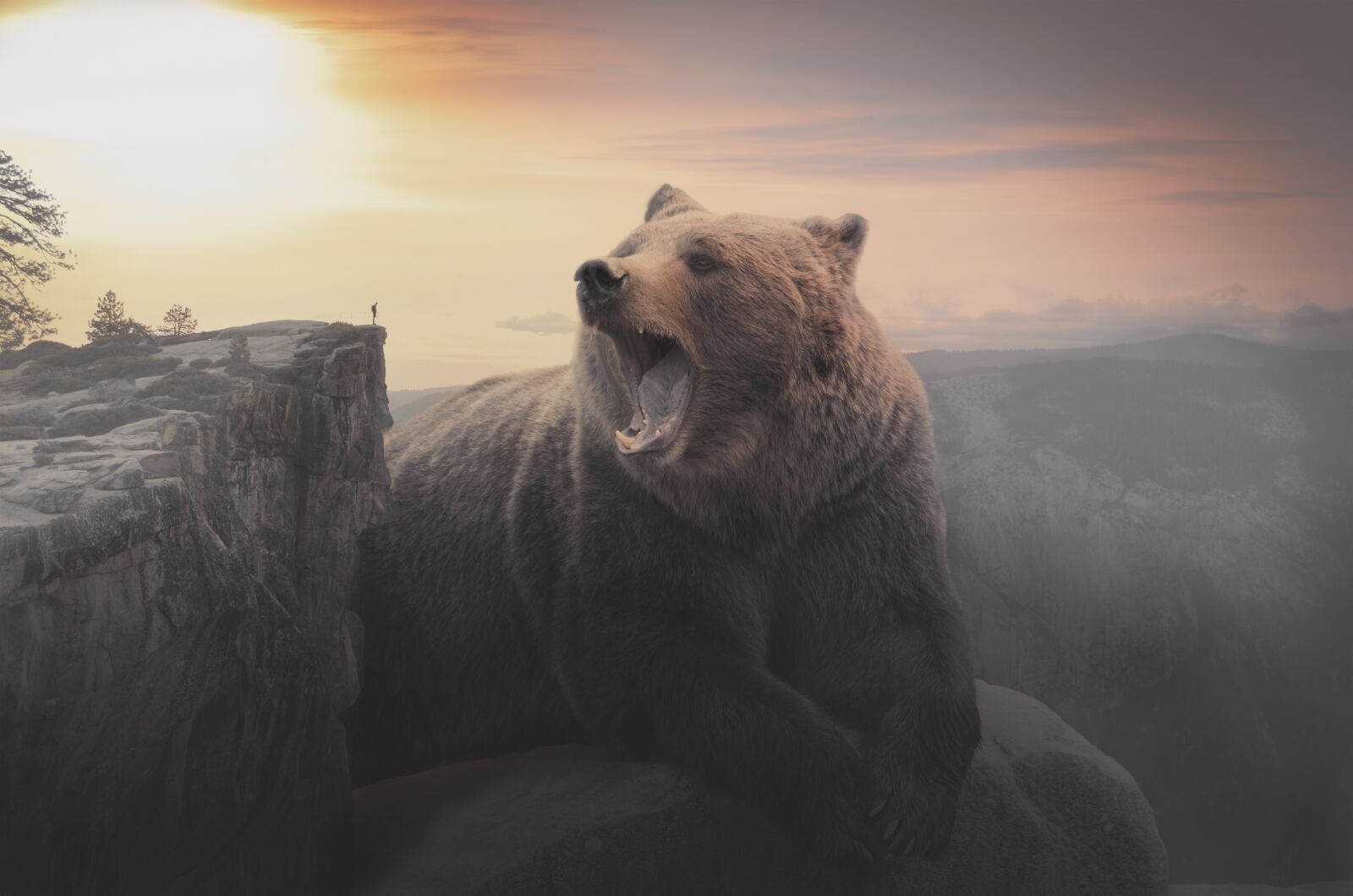 Nikon D5100 sample photo. Bear, giant, huge photography