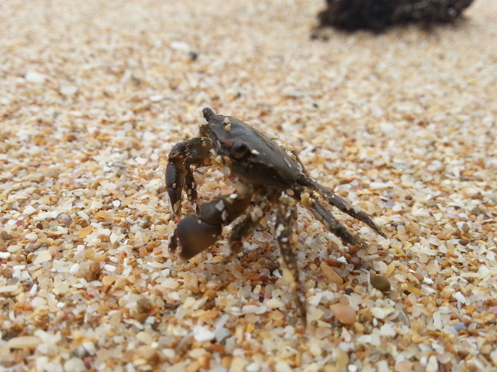 Samsung Galaxy Note2 sample photo