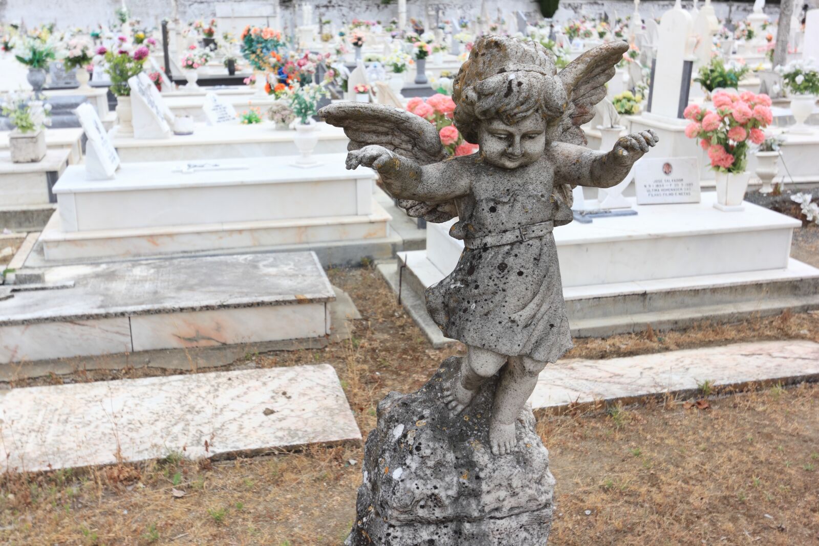 Canon EOS 550D (EOS Rebel T2i / EOS Kiss X4) sample photo. Portugal, evora, cemetery photography