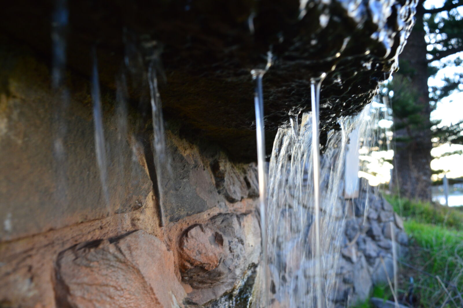 Nikon D3200 sample photo