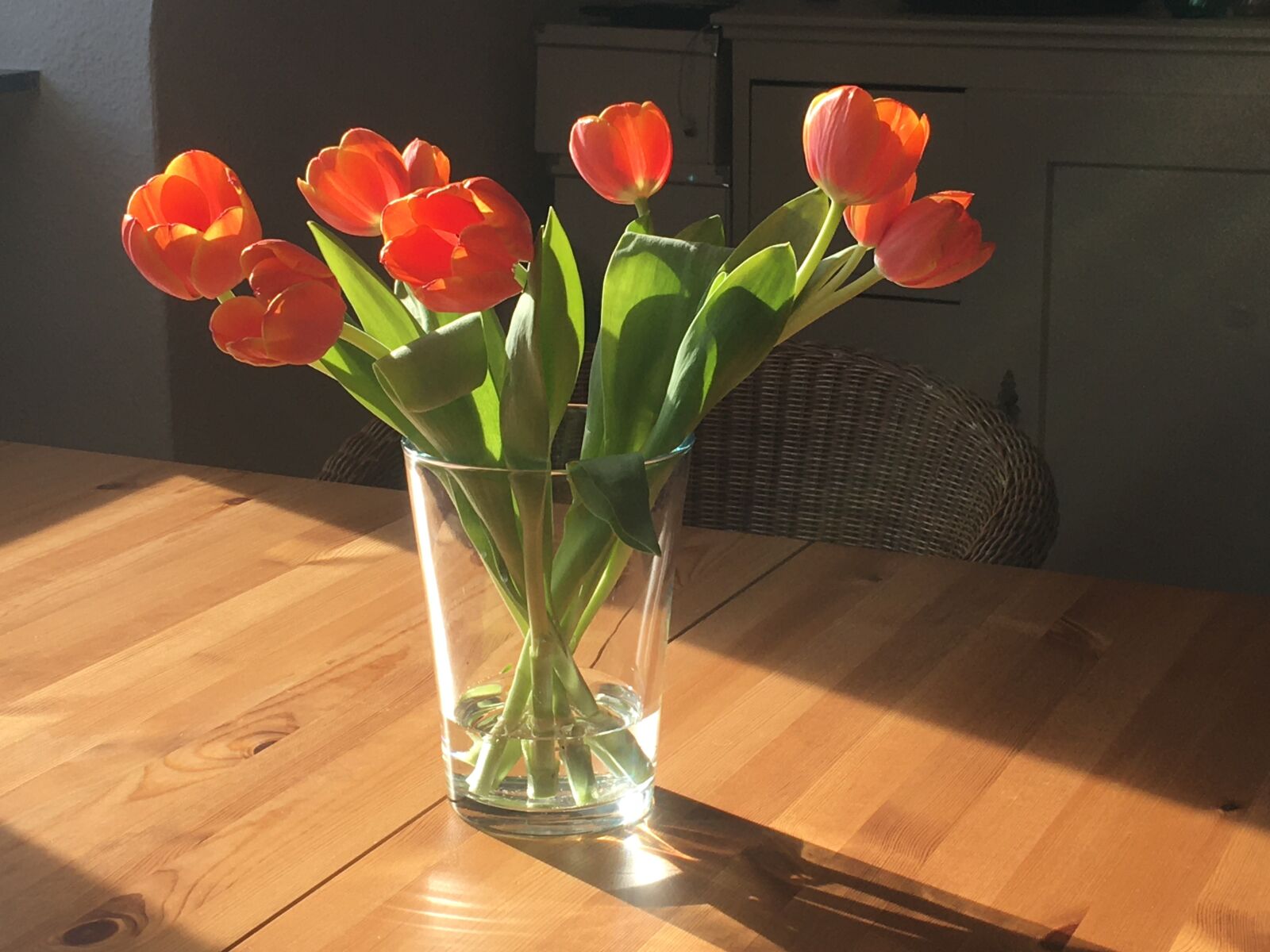 Apple iPhone 6s sample photo. Tulips, vase, sunlight photography