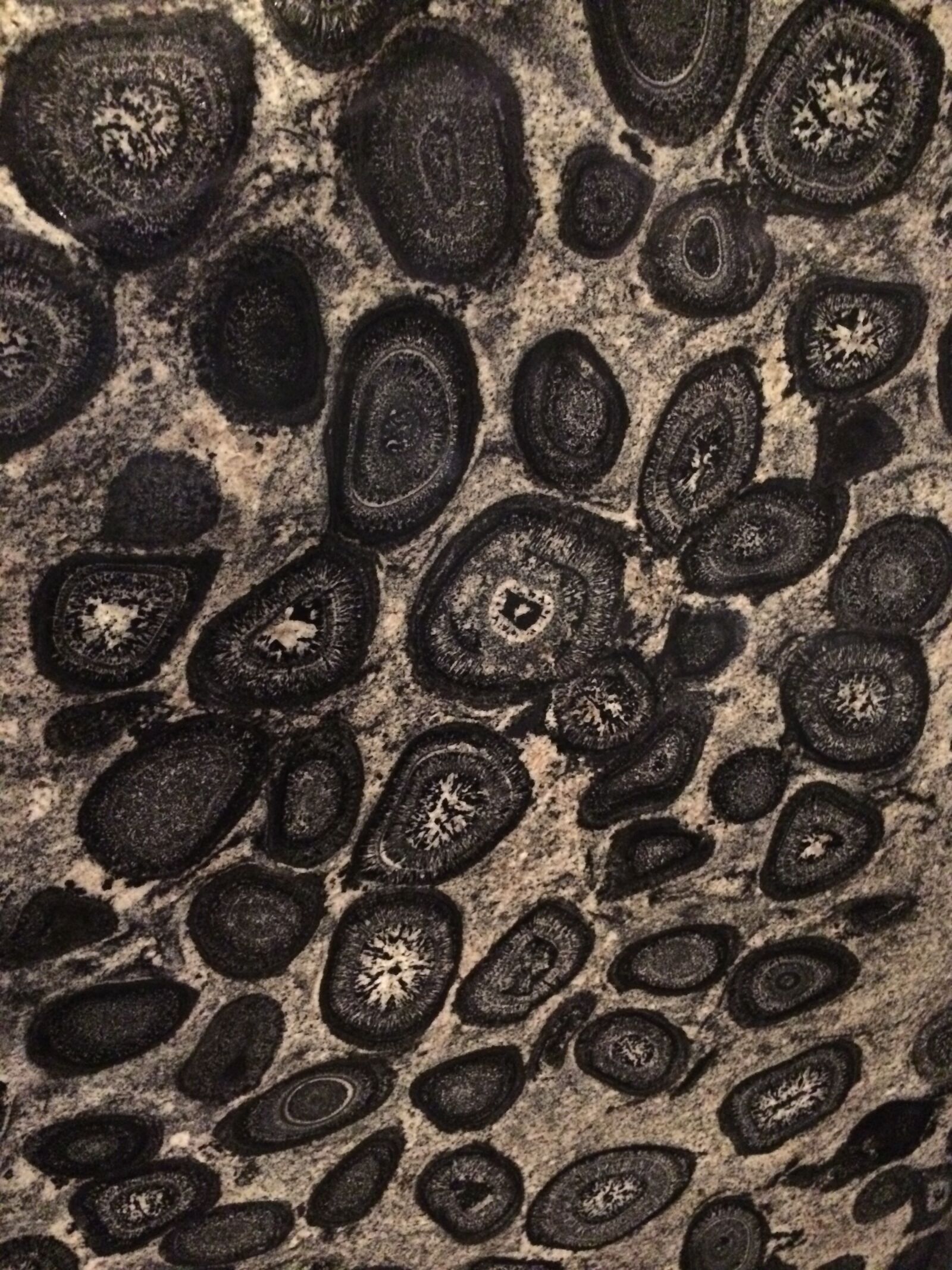 iPhone 5s back camera 4.15mm f/2.2 sample photo. Mineral, fossil, stone photography