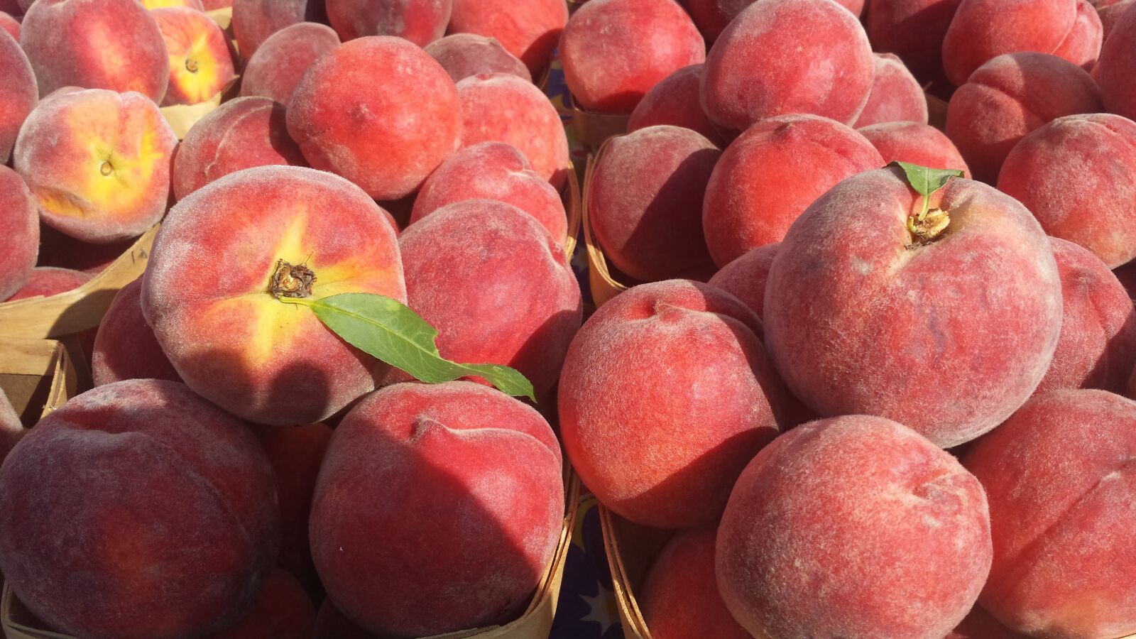 Samsung Galaxy S4 sample photo. Peach, peaches, fruit photography