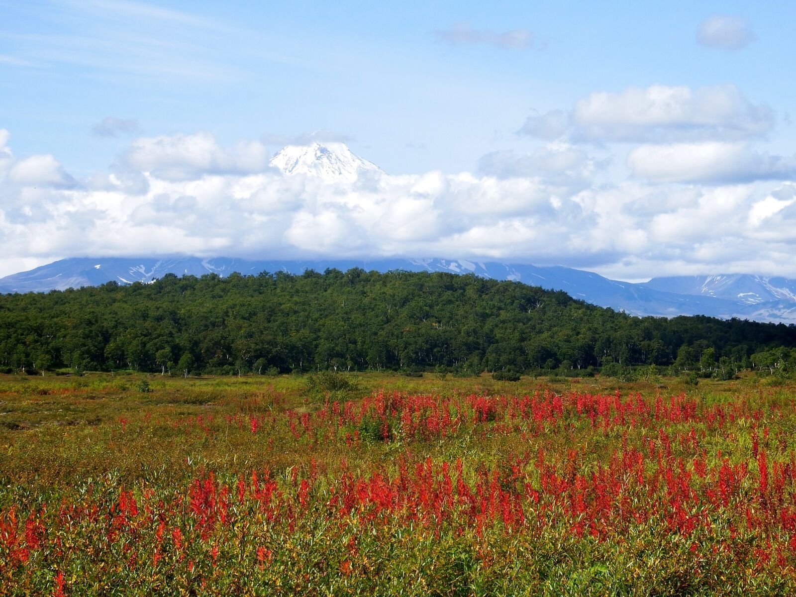 Fujifilm FinePix S1 sample photo. Nature, landscape, mountains photography