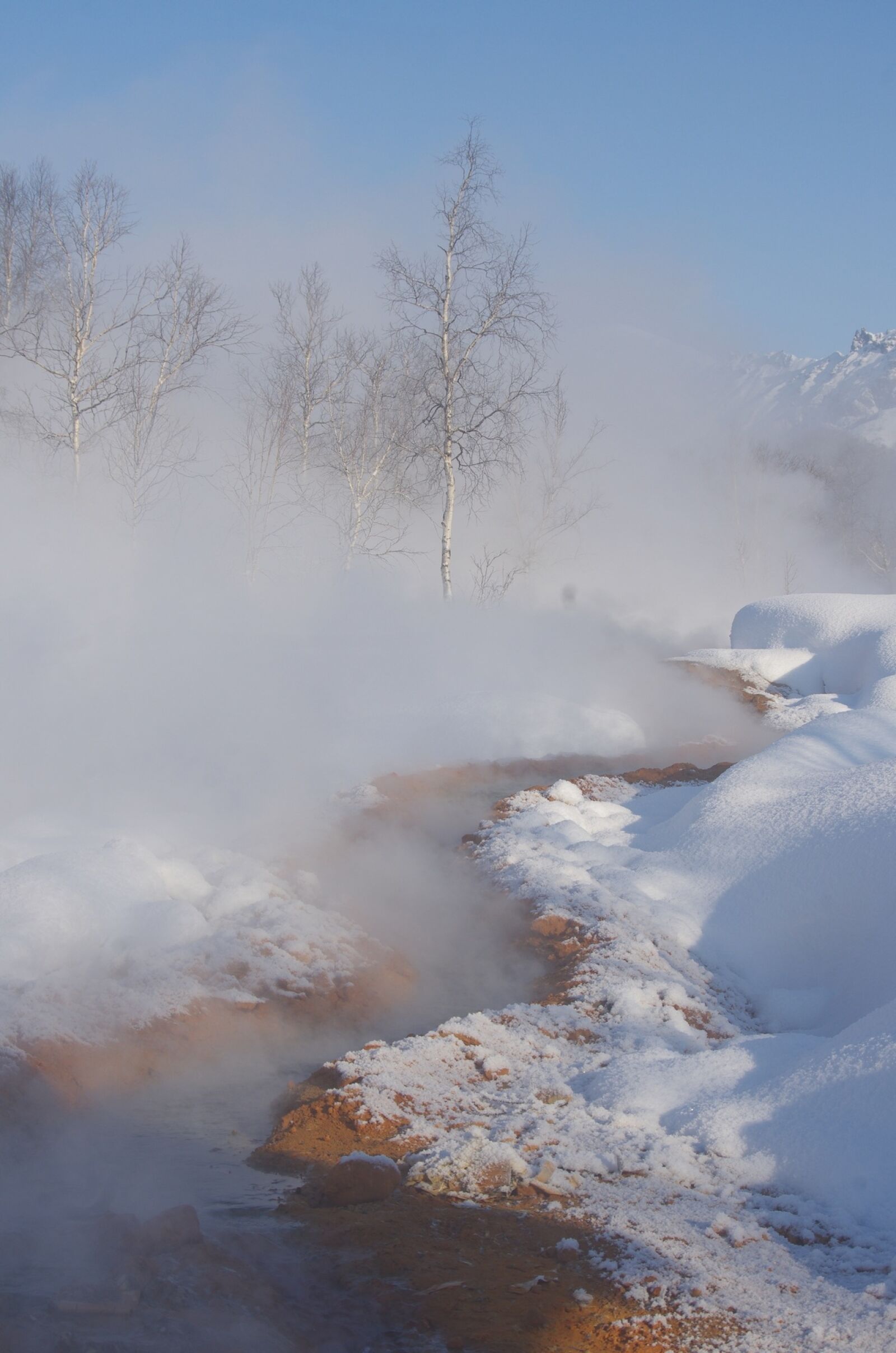 Pentax K-5 sample photo. Winter, snow, frost photography