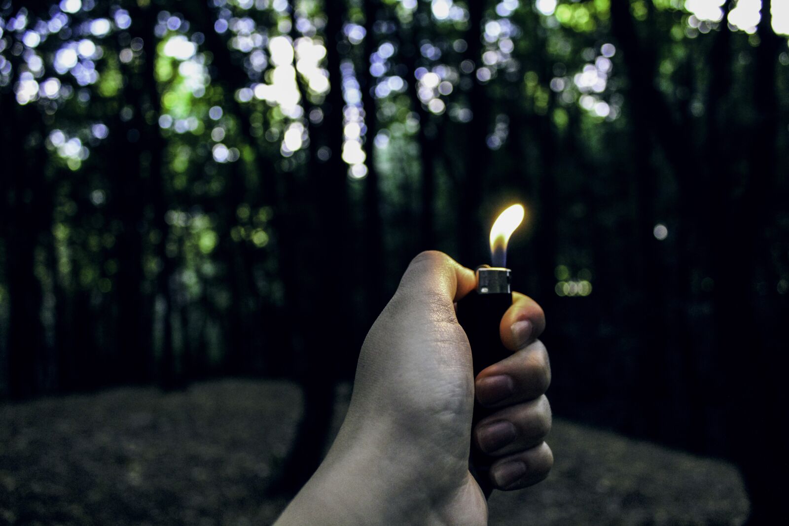 Canon EOS 1200D (EOS Rebel T5 / EOS Kiss X70 / EOS Hi) sample photo. Hand, forest, lighter photography