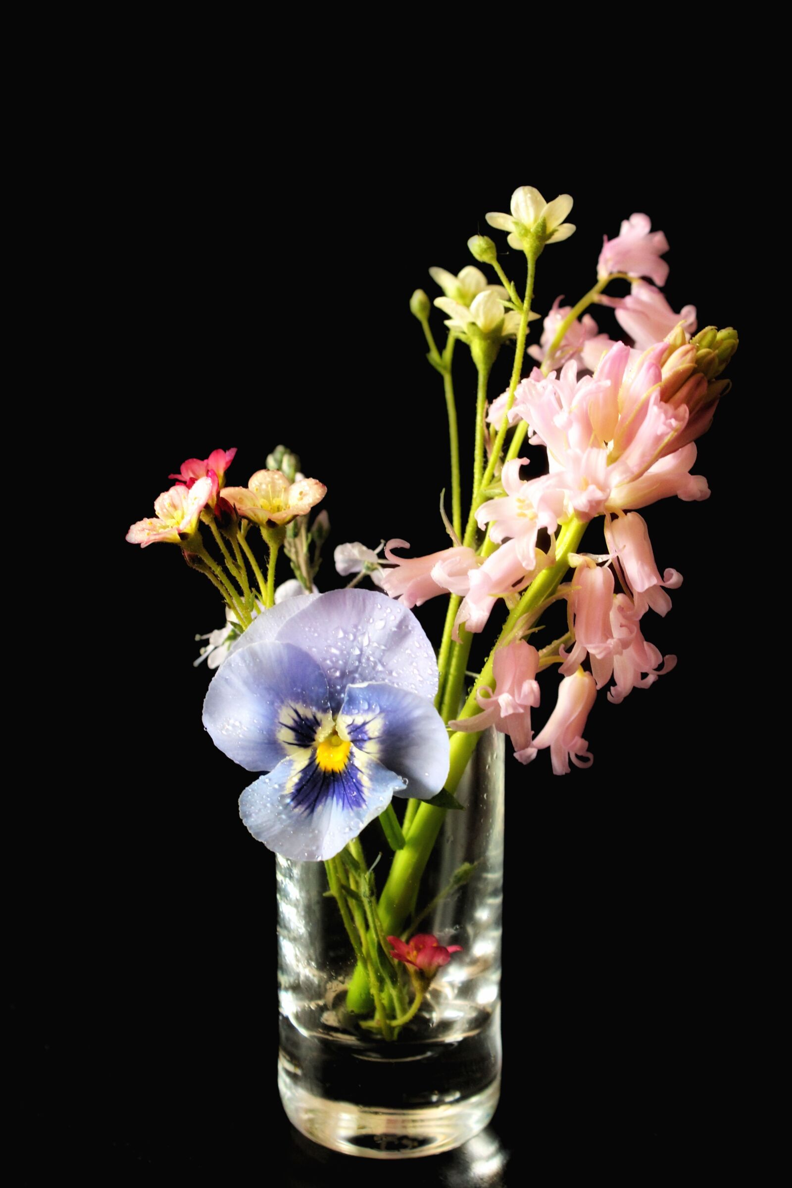 Canon EOS 1300D (EOS Rebel T6 / EOS Kiss X80) sample photo. Spring, flowers, vase photography