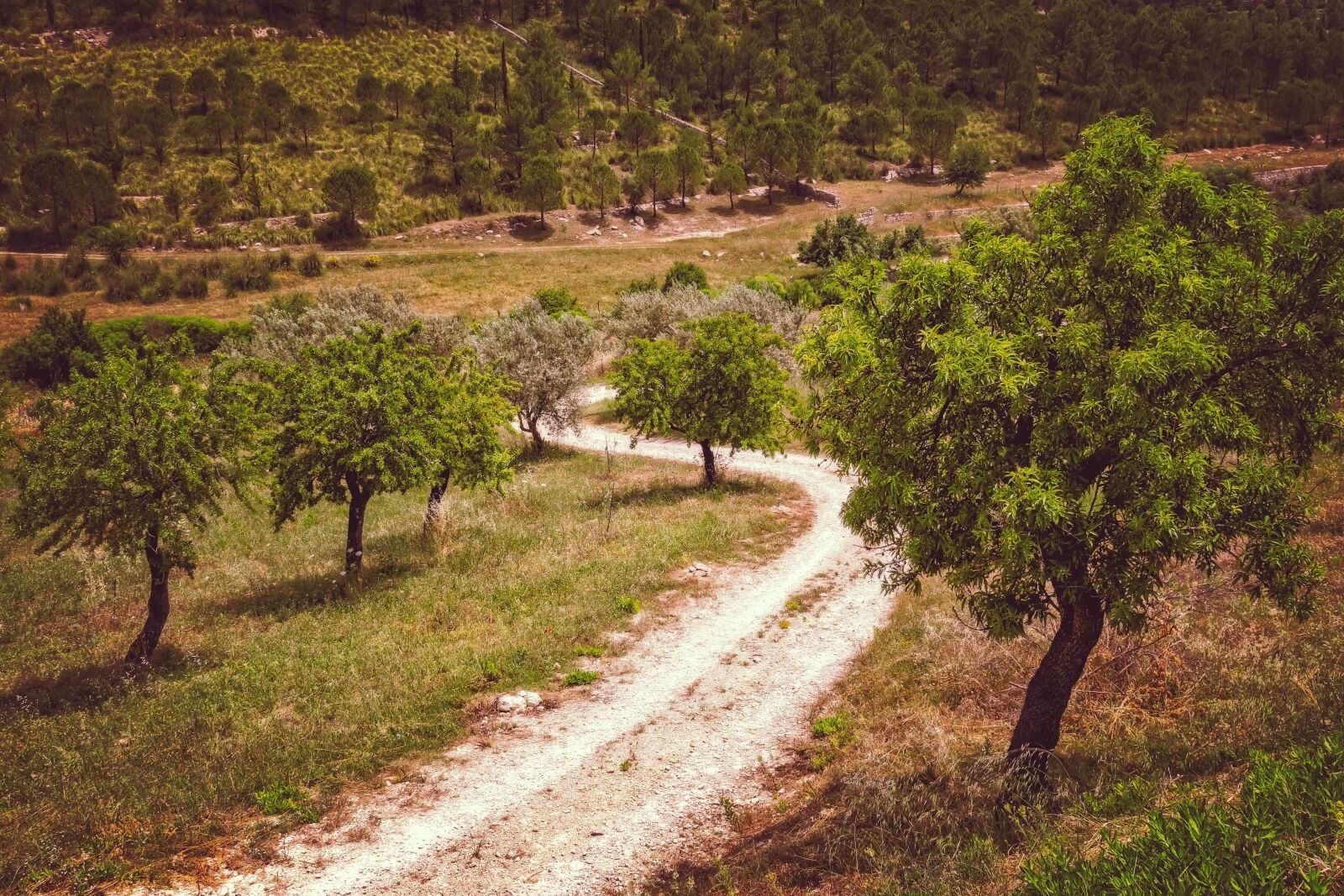 Nikon D3300 sample photo. Landscape, away, nature photography