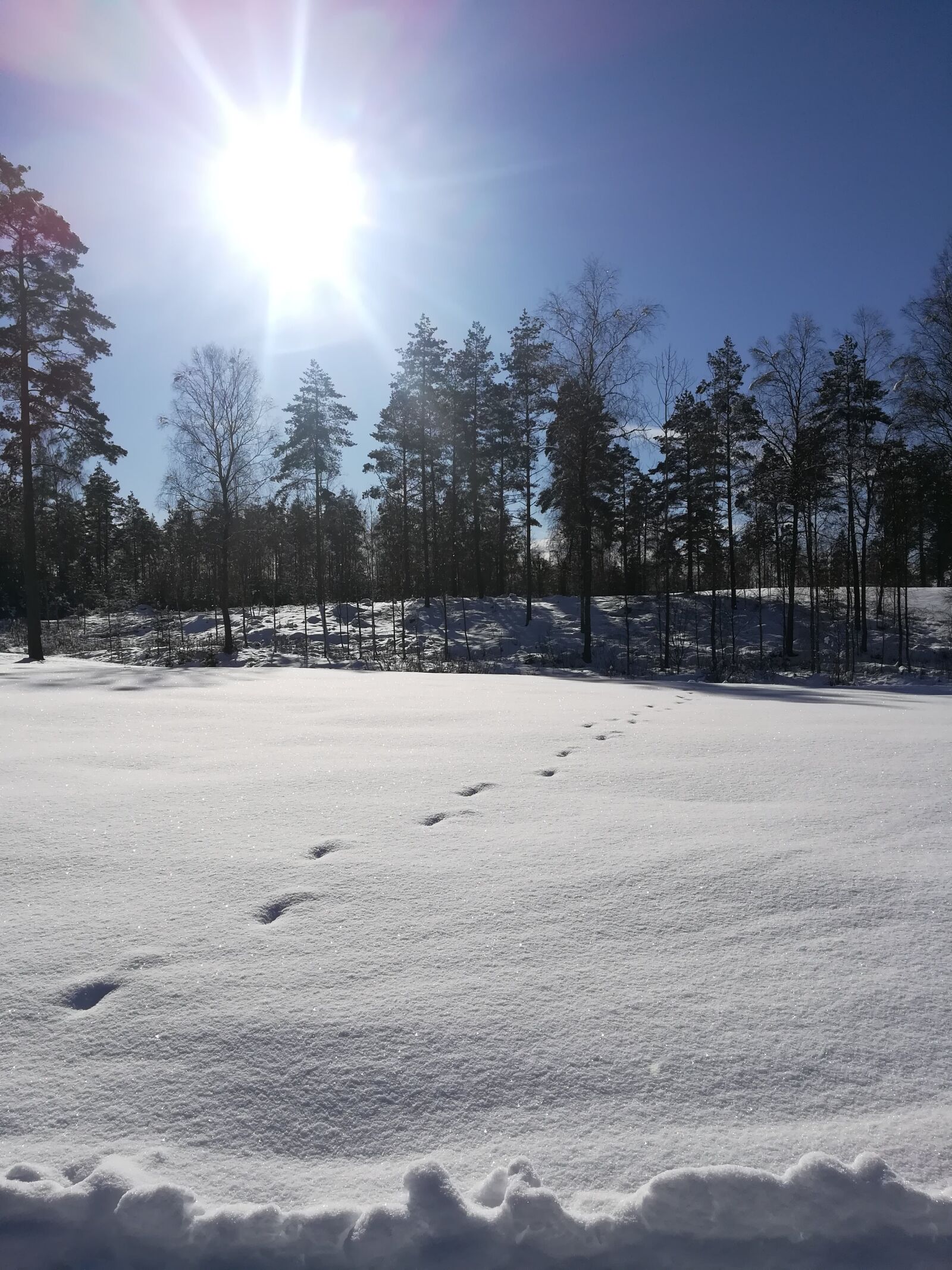 HUAWEI P10 lite sample photo. Snow, track, winter photography
