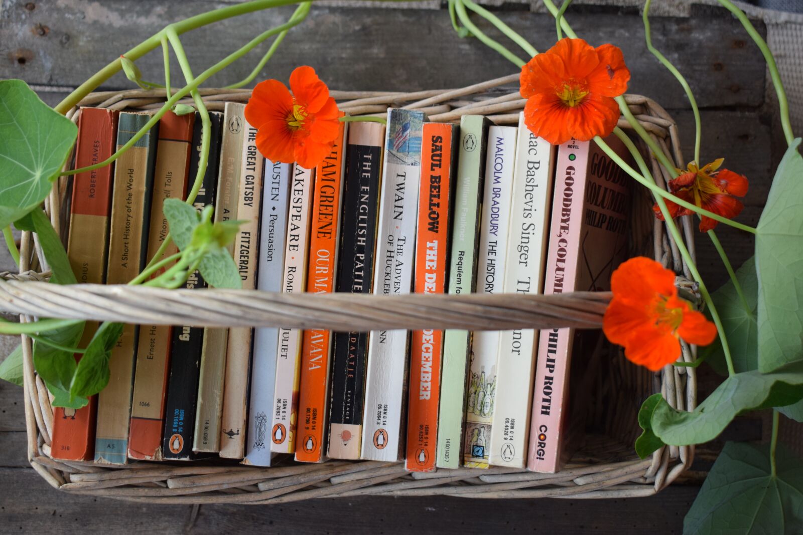 Nikon D5300 sample photo. Books, book, vintage photography