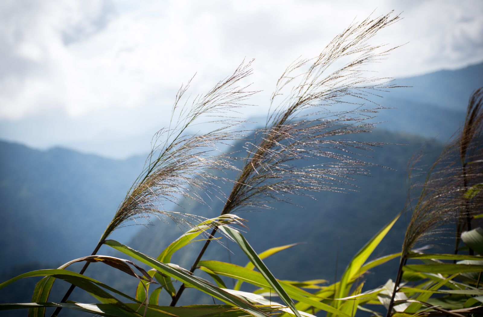 Nikon D5500 sample photo. Mountains, beauty, the environment photography