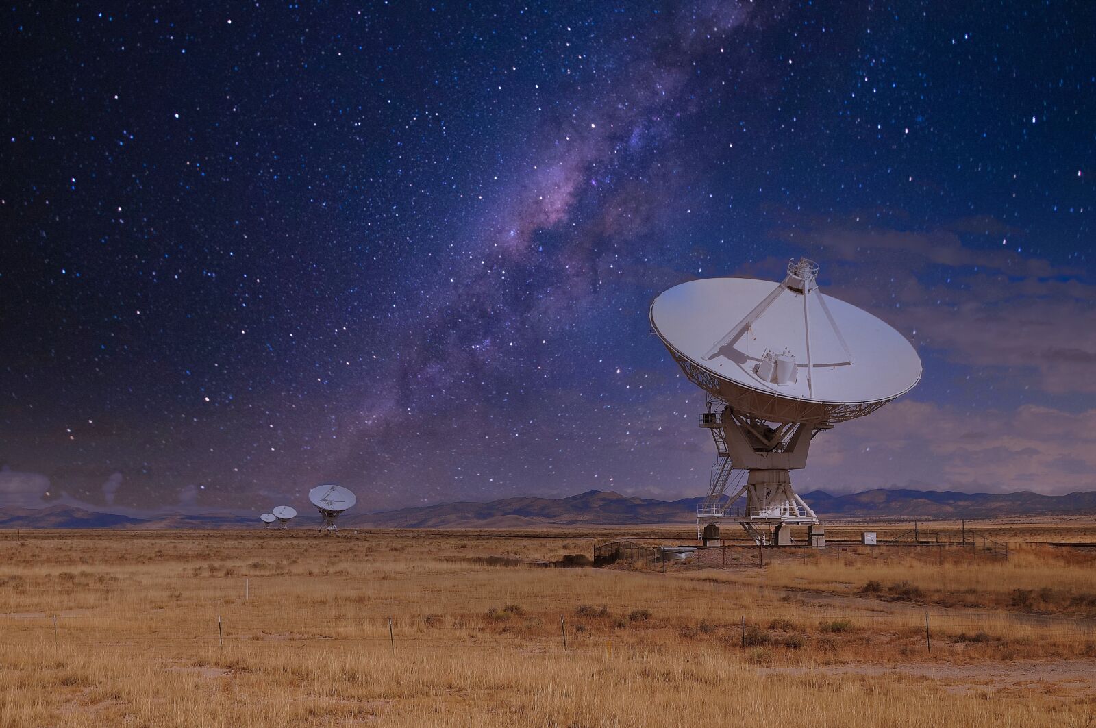 Nikon D5000 sample photo. Vla, the very large photography