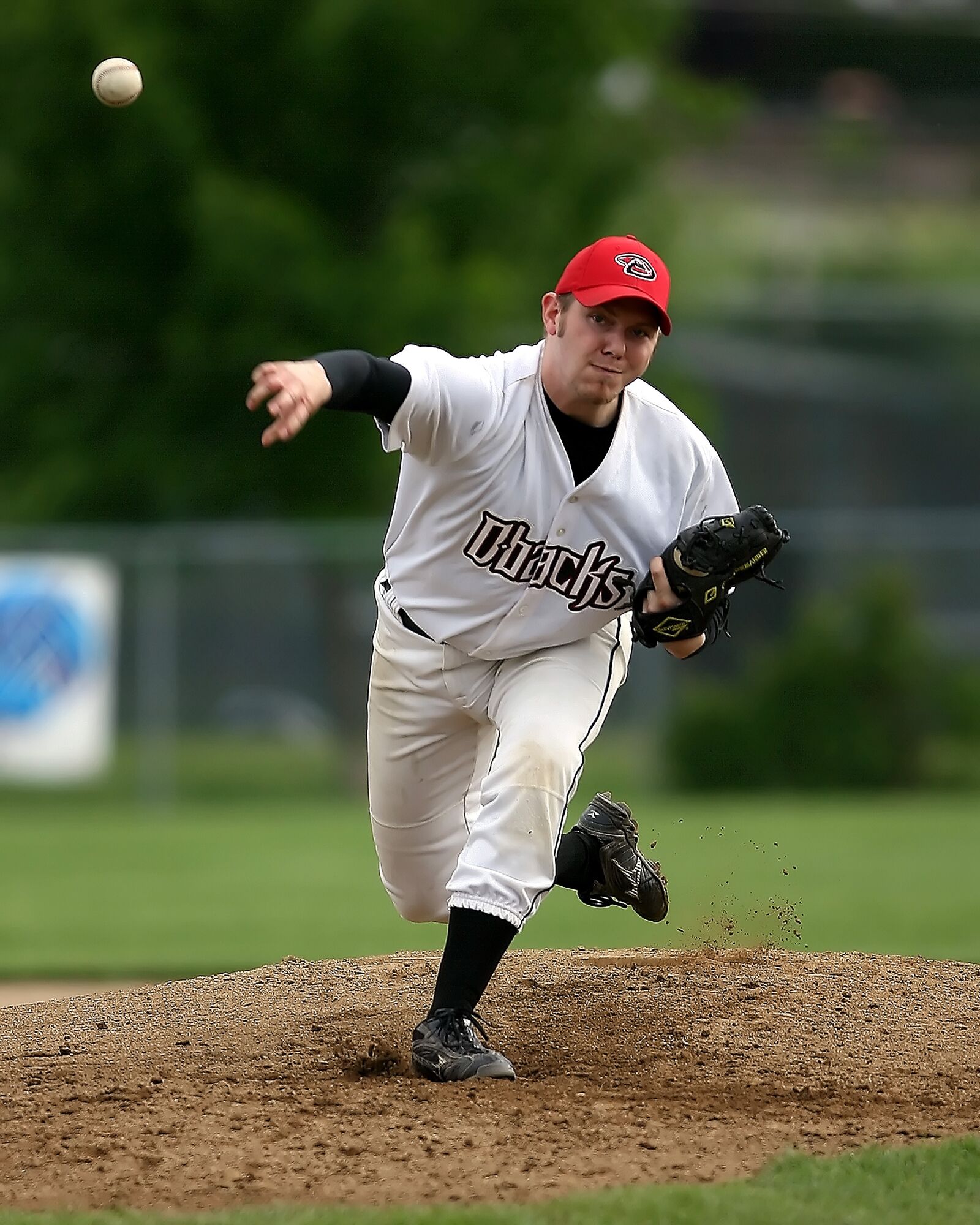 Canon EOS-1D Mark II N sample photo. Baseball, pitcher, player photography