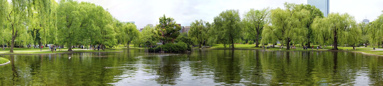 Nikon D7200 sample photo. Boston commons, park, boston photography