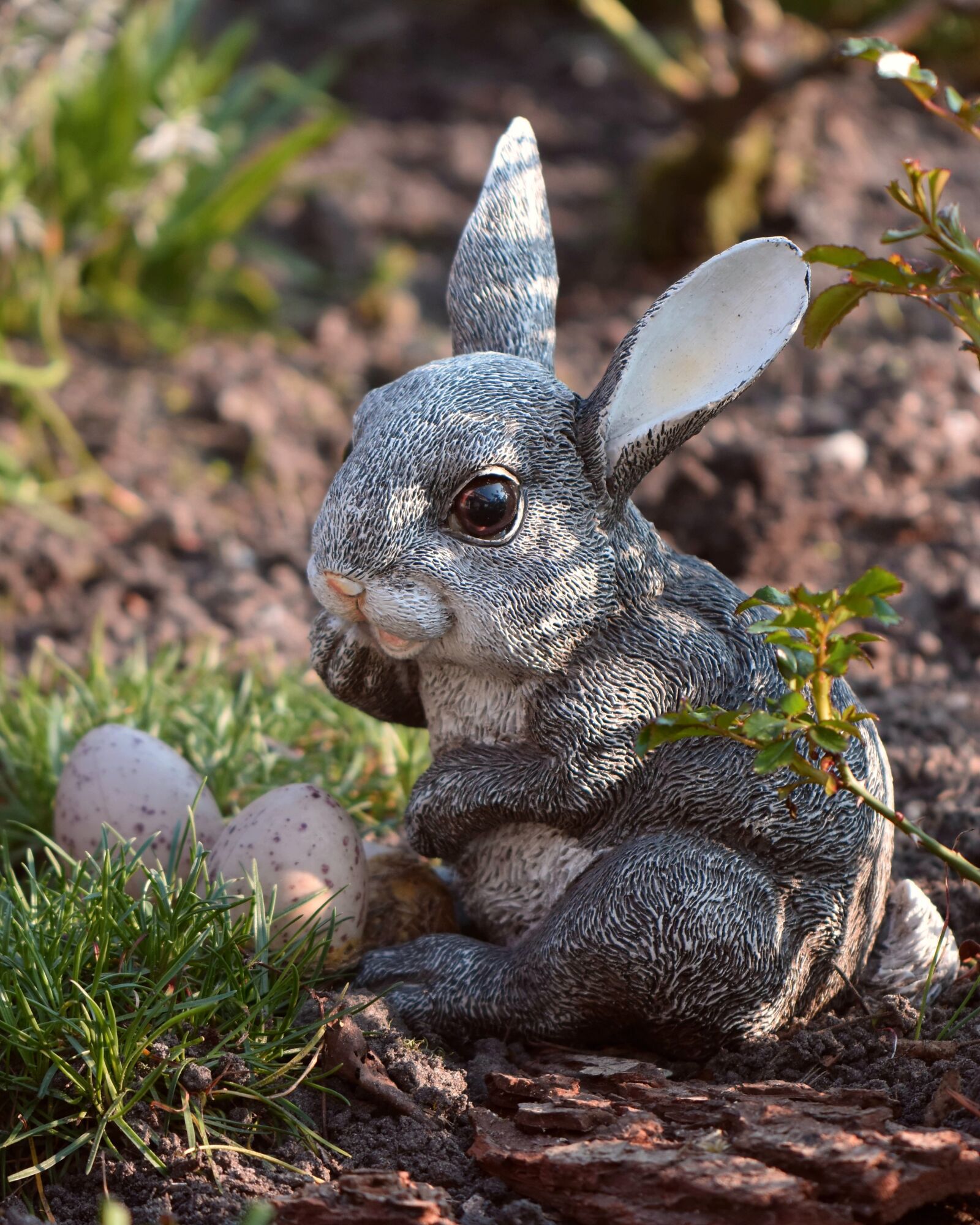 Nikon D5600 sample photo. Easter, hare, easter bunny photography