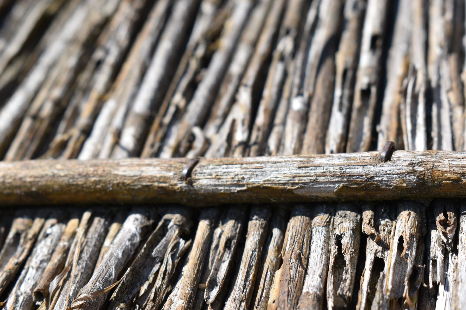 Nikon D5600 sample photo. Wood, rustic, texture photography