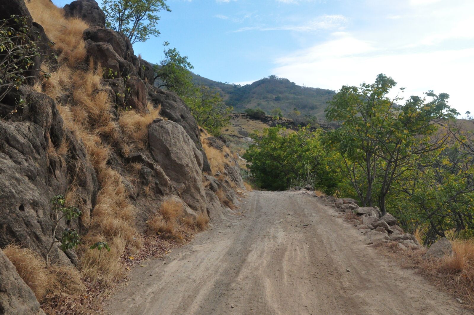 Nikon D90 sample photo. Road, tour, adventure photography