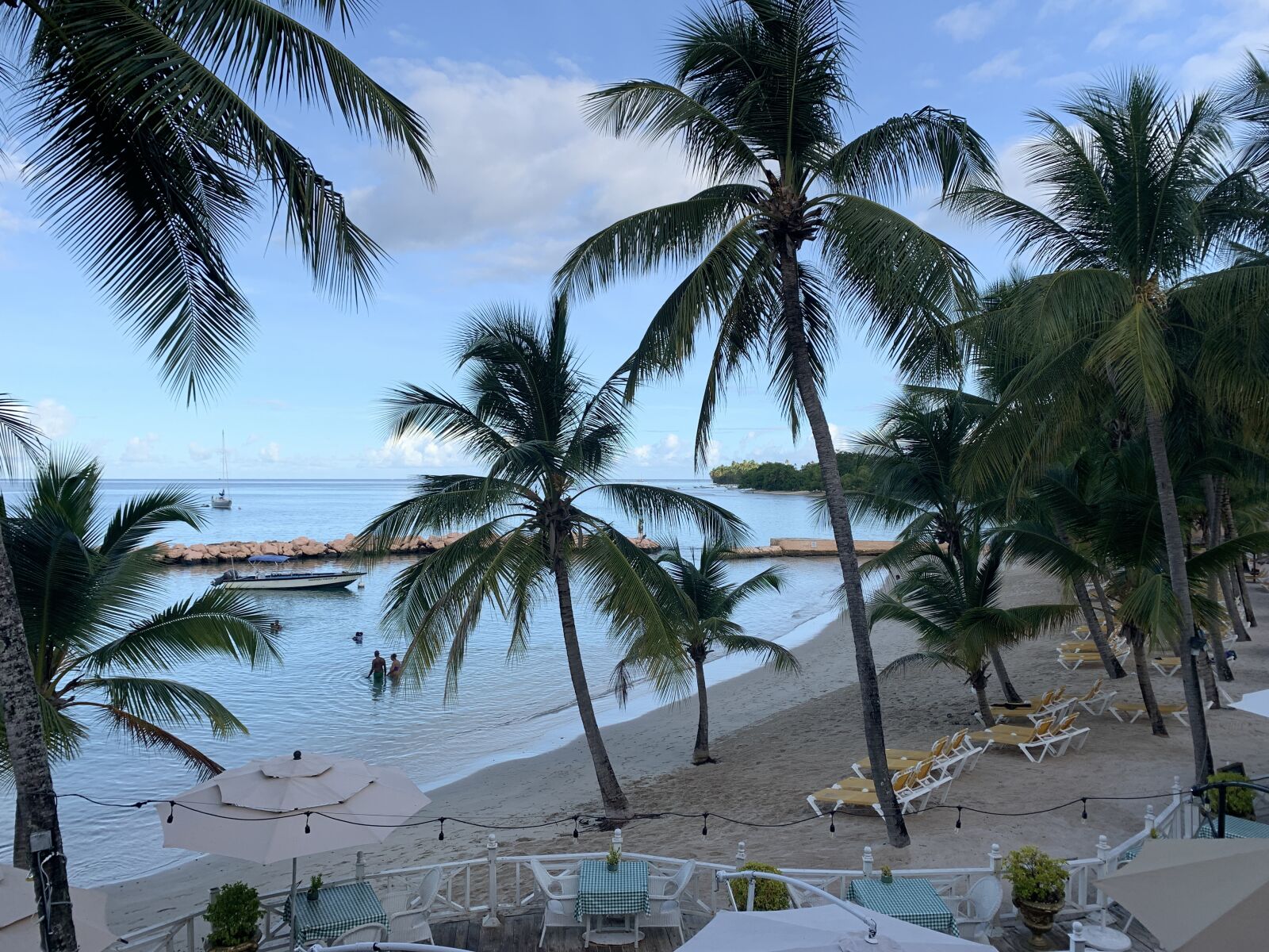 Apple iPhone XR sample photo. Beach, coconut trees photography