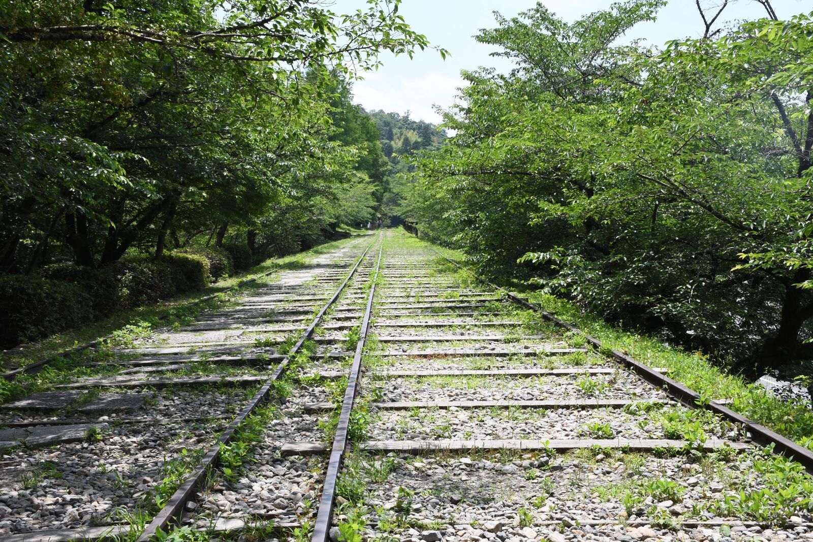 Nikon D7500 sample photo. Ink line, track, keage photography