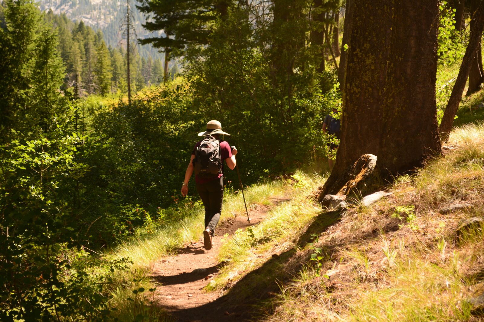 Nikon D5200 sample photo. Woman, hiking, forest photography