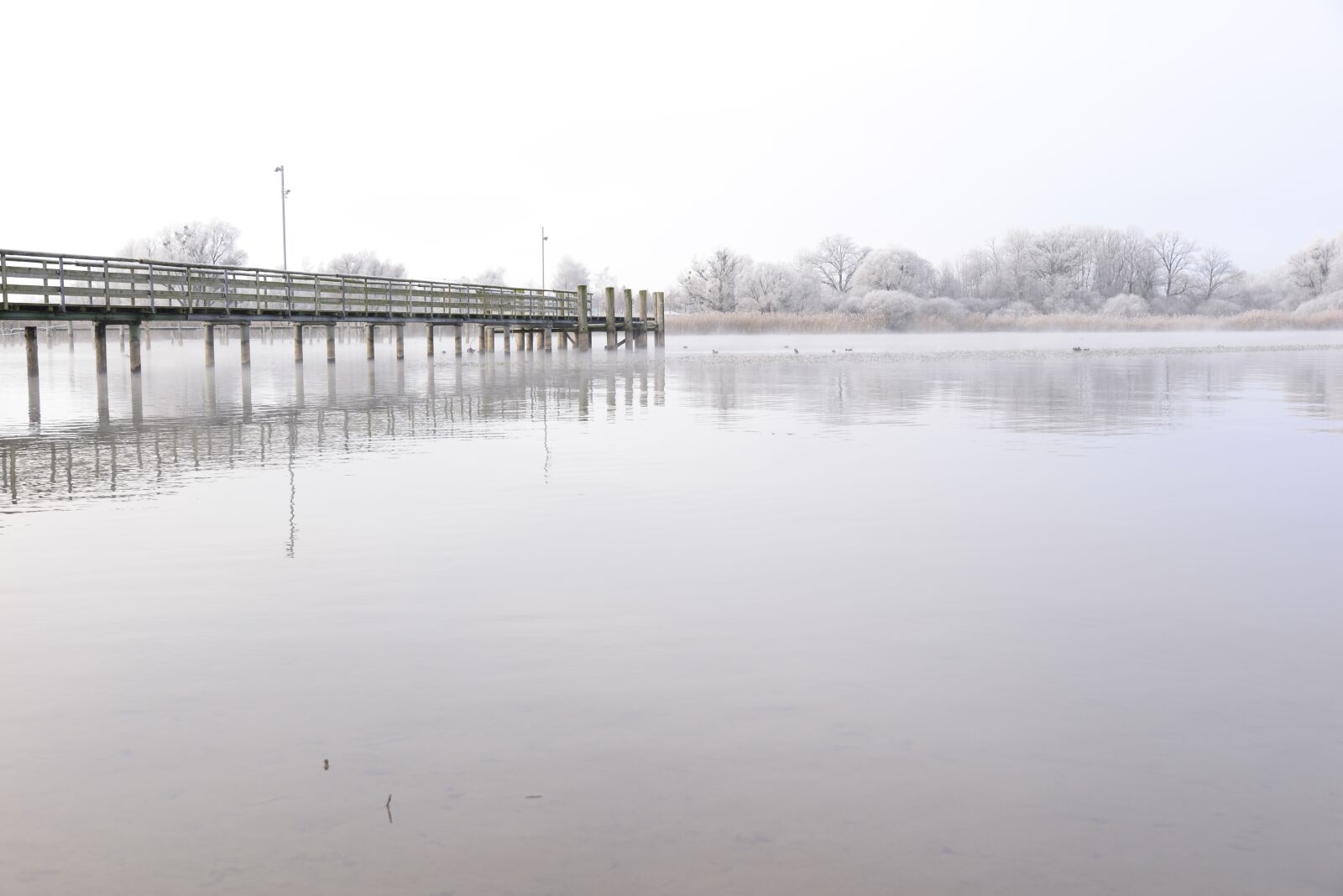Nikon D610 sample photo. Jetty, ship jetty, piers photography