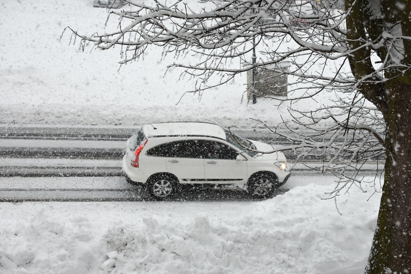 Nikon D3400 sample photo. Snow storm, snow, blizzard photography