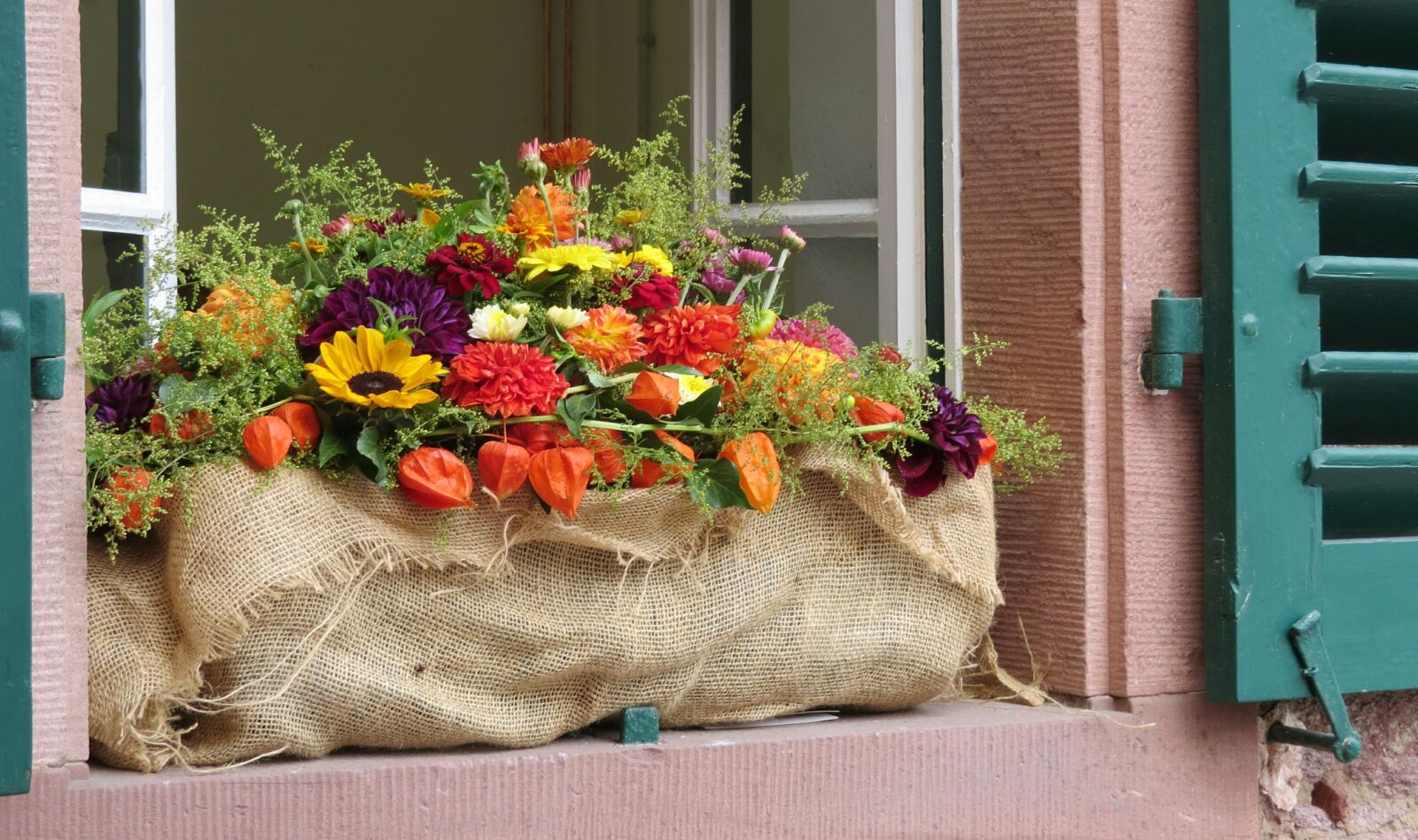 Canon PowerShot SX50 HS sample photo. Herbstdeko, flower box, window photography