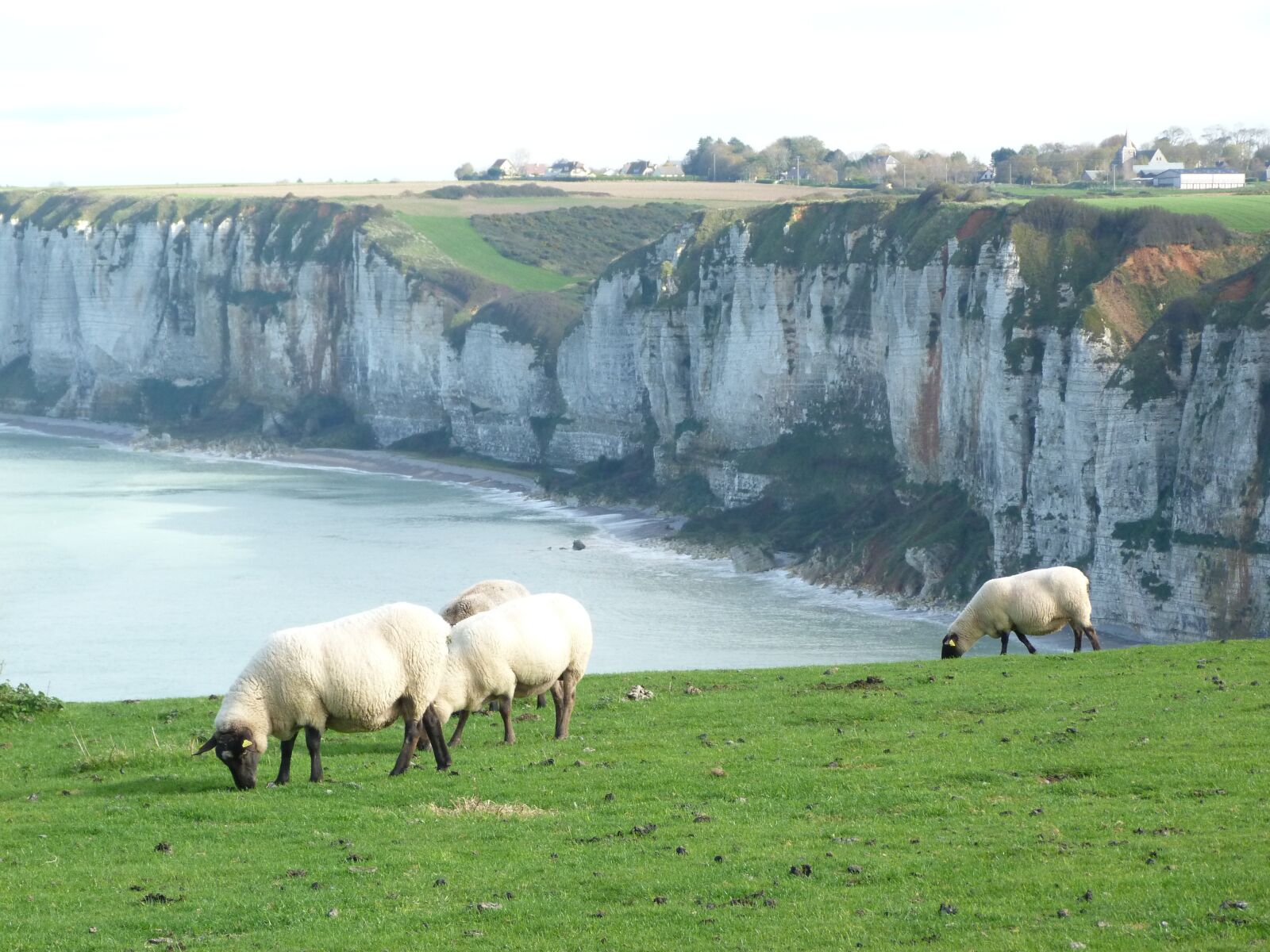 Panasonic Lumix DMC-FZ40 (Lumix DMC-FZ45) sample photo. Normandy, coast, cliffs photography
