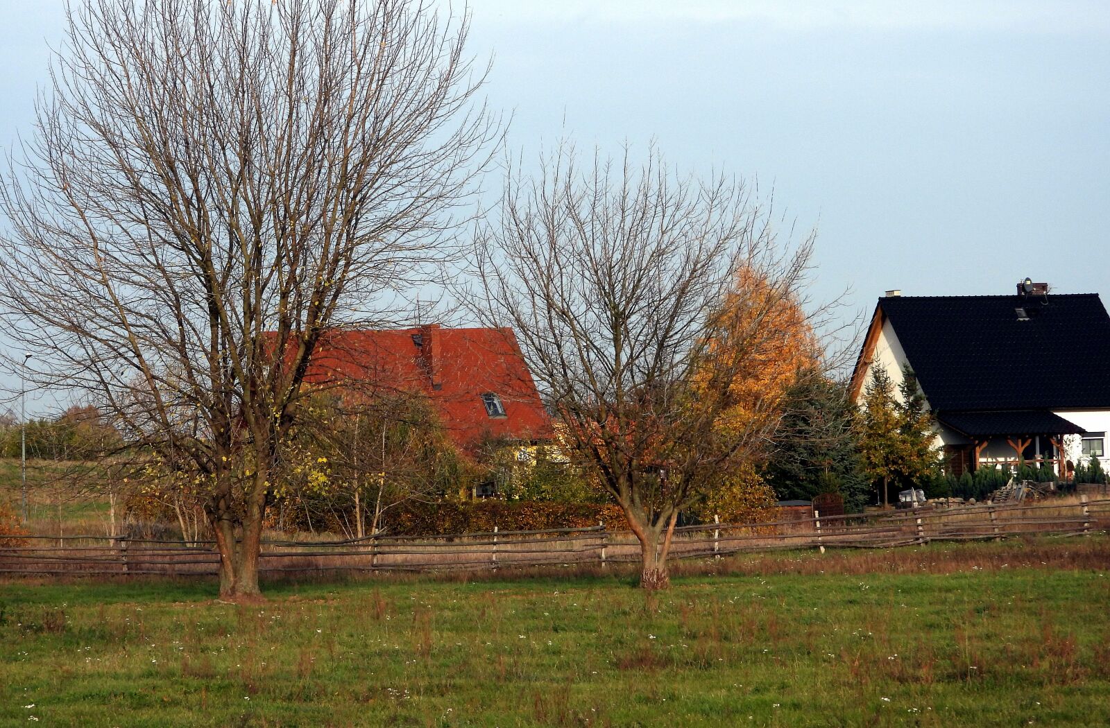 Nikon Coolpix P1000 sample photo. Autumn landscape, tree, nature photography