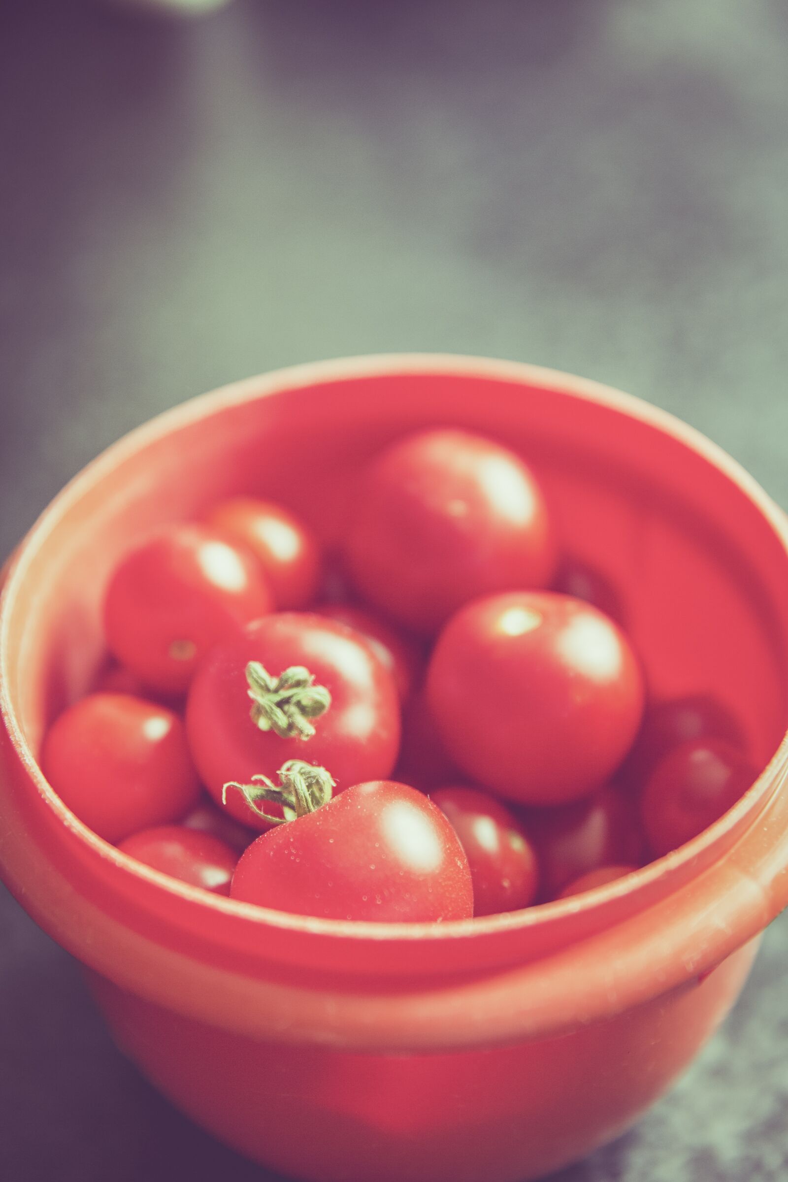 Canon EF 24-70mm F2.8L II USM sample photo. Tomatoes, vegetables, datailaufnahme photography