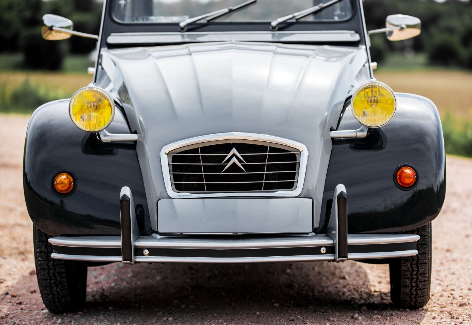 Canon EOS 5D Mark III sample photo. Duck, oldtimer, auto photography