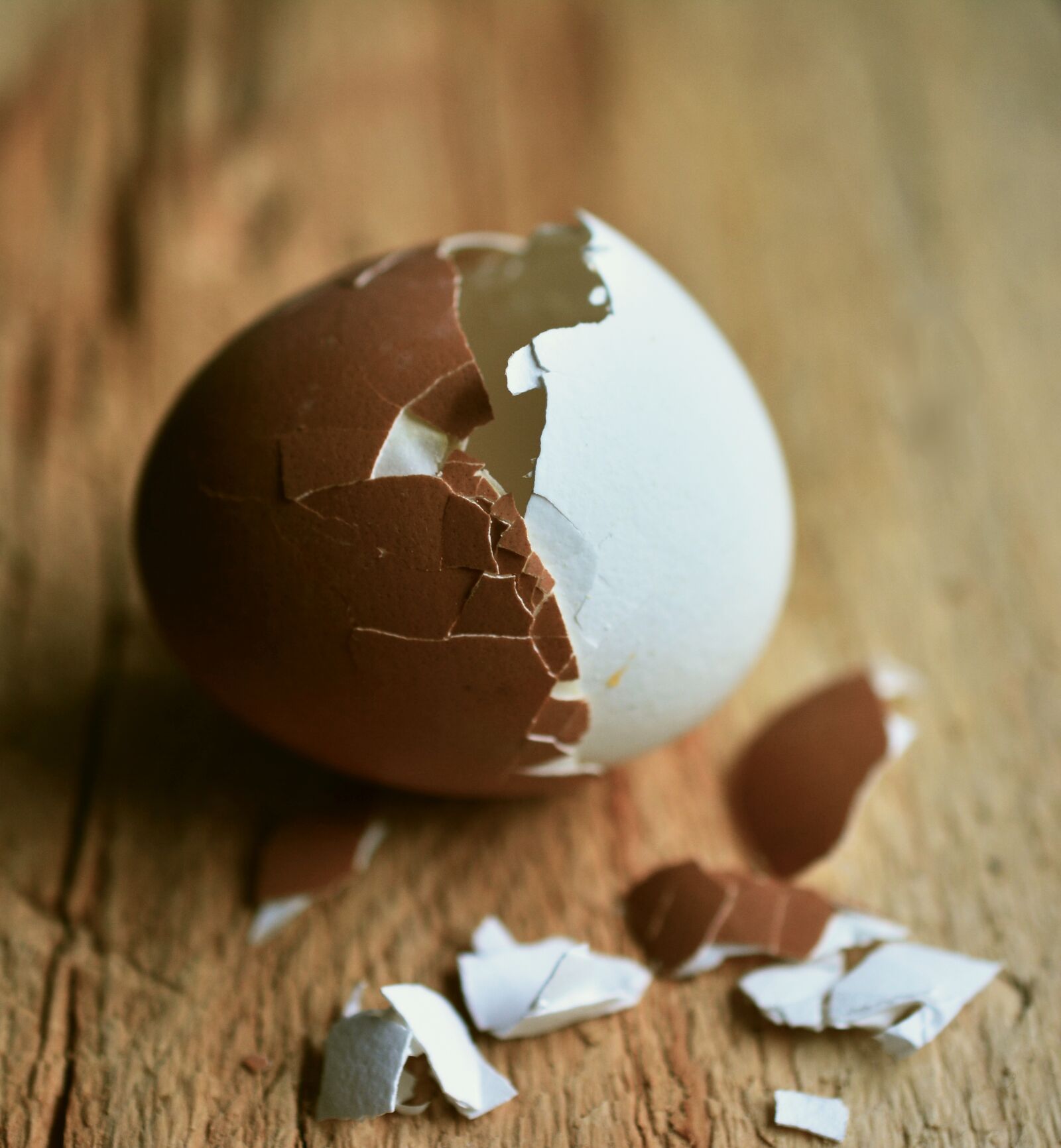 Nikon D5200 sample photo. Egg, hen's egg, eggshell photography
