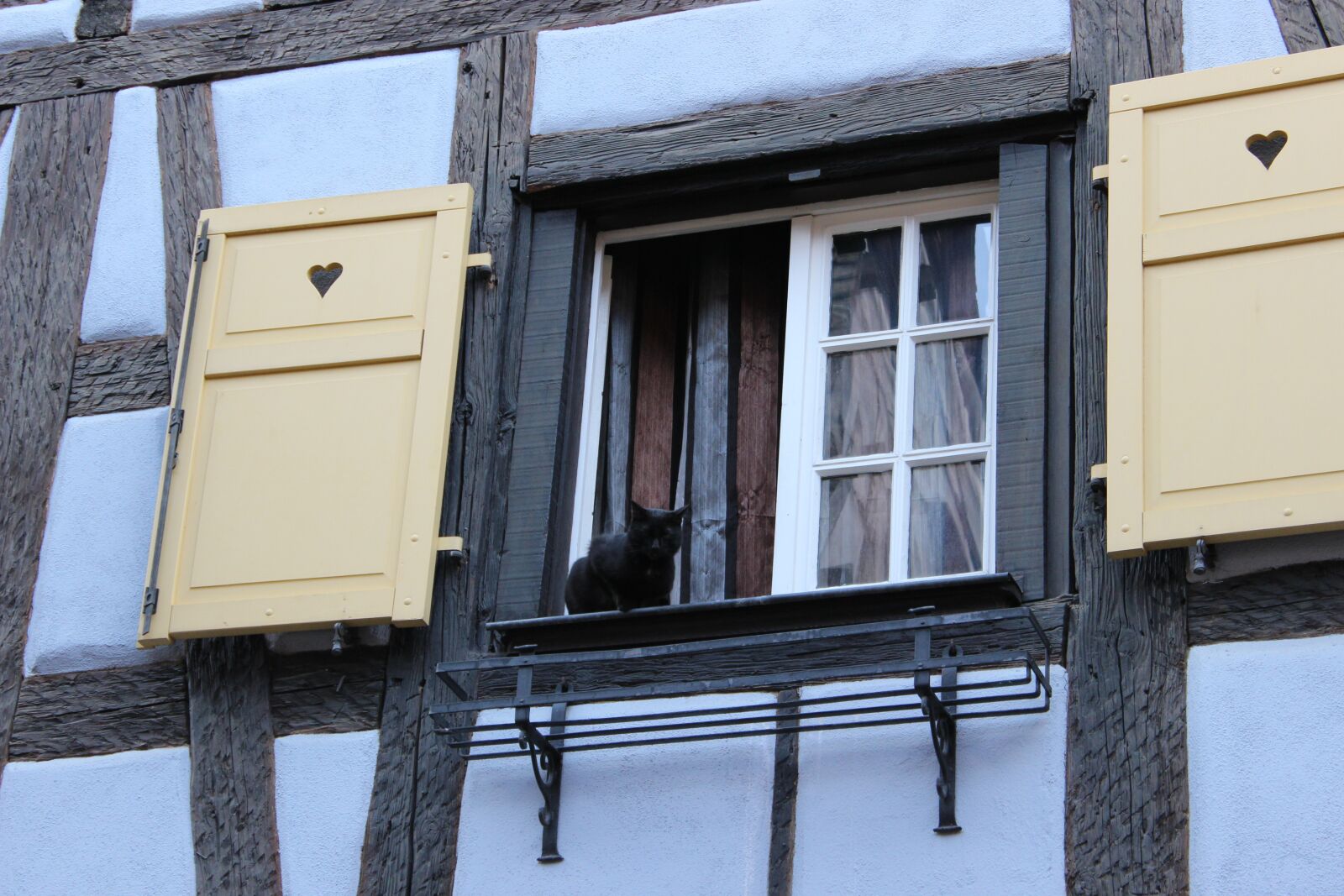 Canon EOS 600D (Rebel EOS T3i / EOS Kiss X5) sample photo. Window, black cat, fachwerkhaus photography