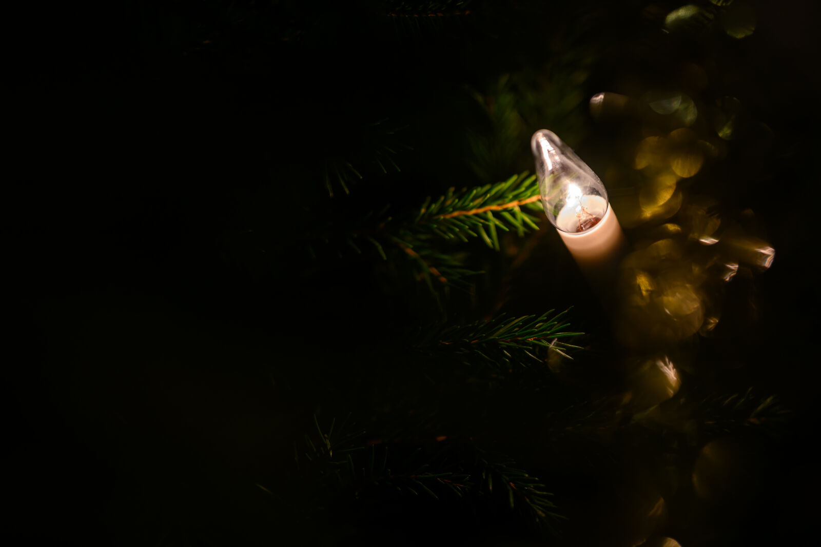 Nikon Z9 sample photo. Christmas light photography