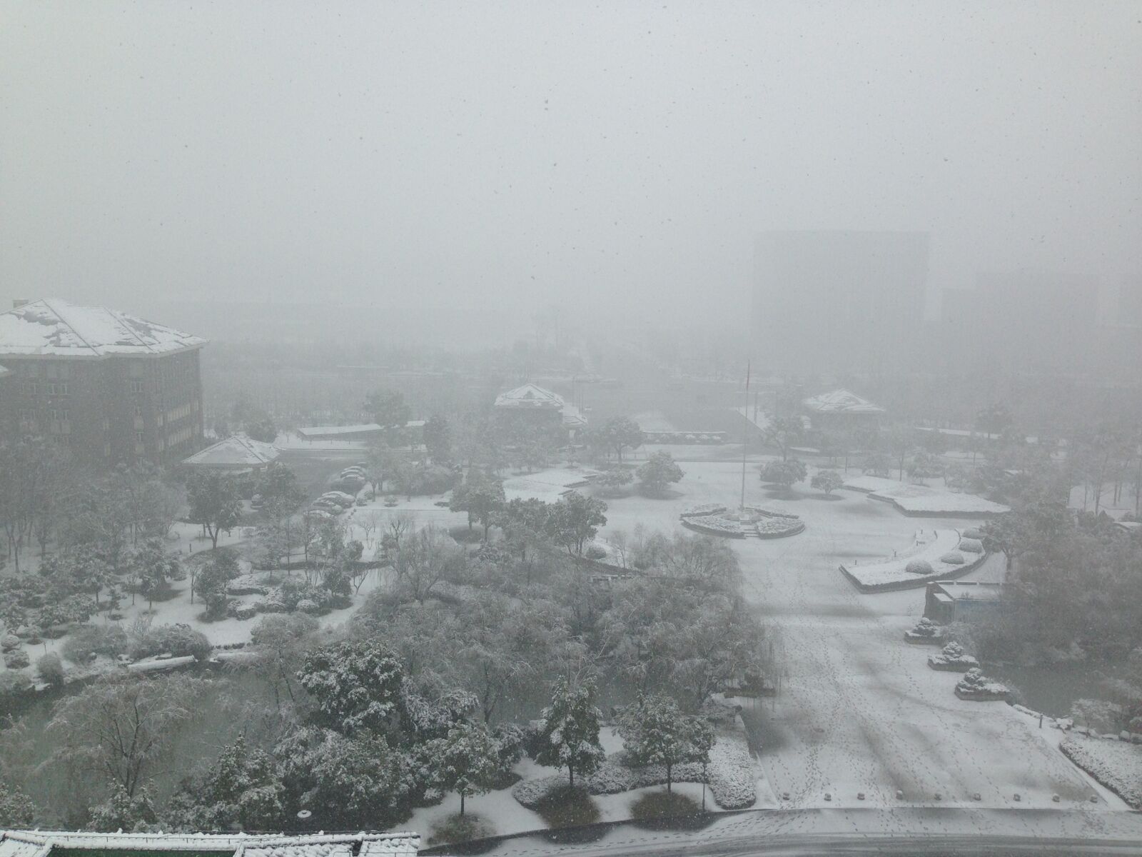 iPhone 5c back camera 4.12mm f/2.4 sample photo. Snow photography