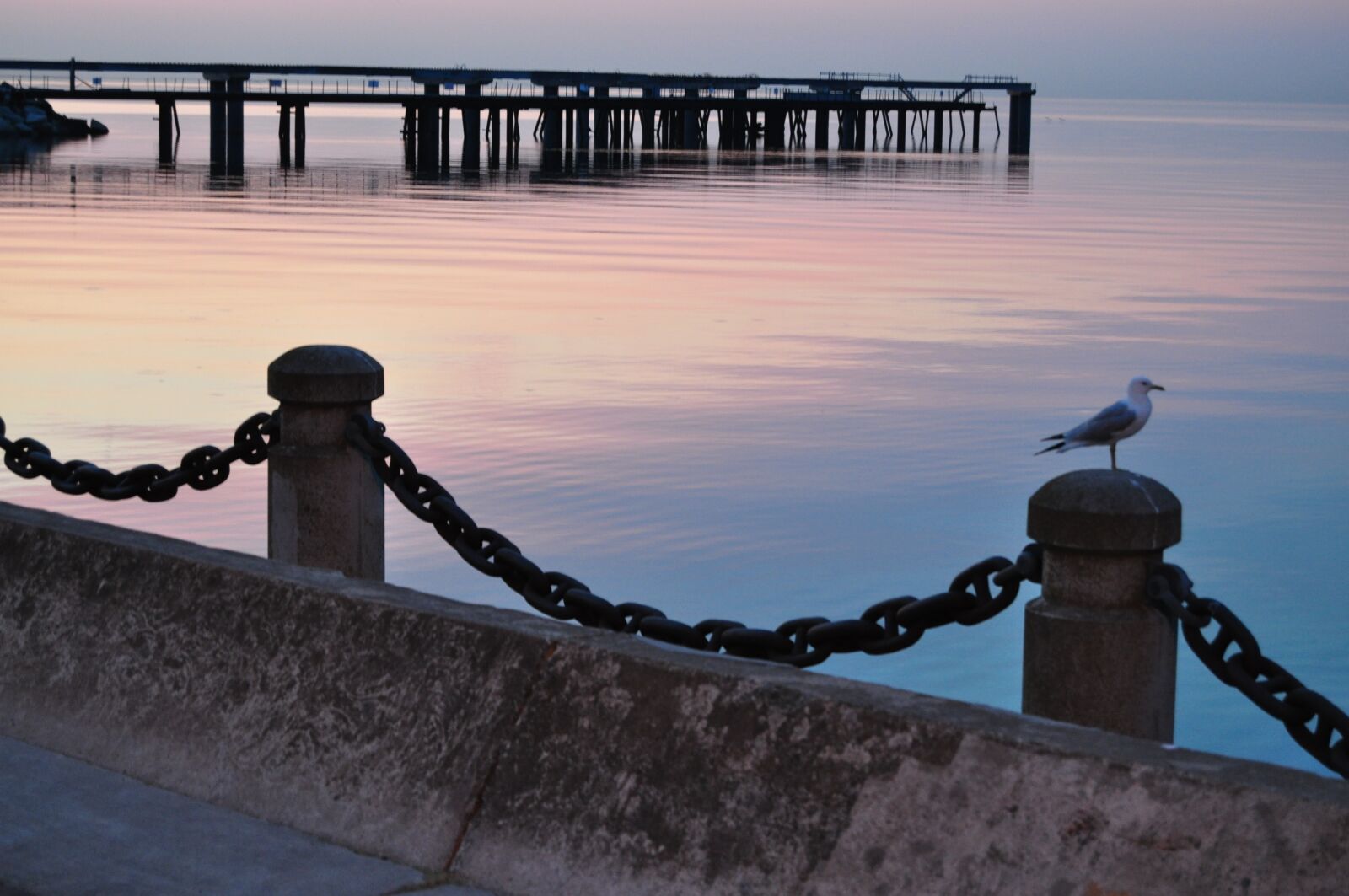 Nikon D5000 sample photo. Waterfront, pier, seagull photography