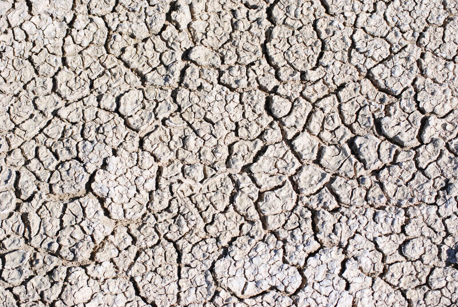 Nikon D3000 sample photo. Africa, namibia, etosha photography