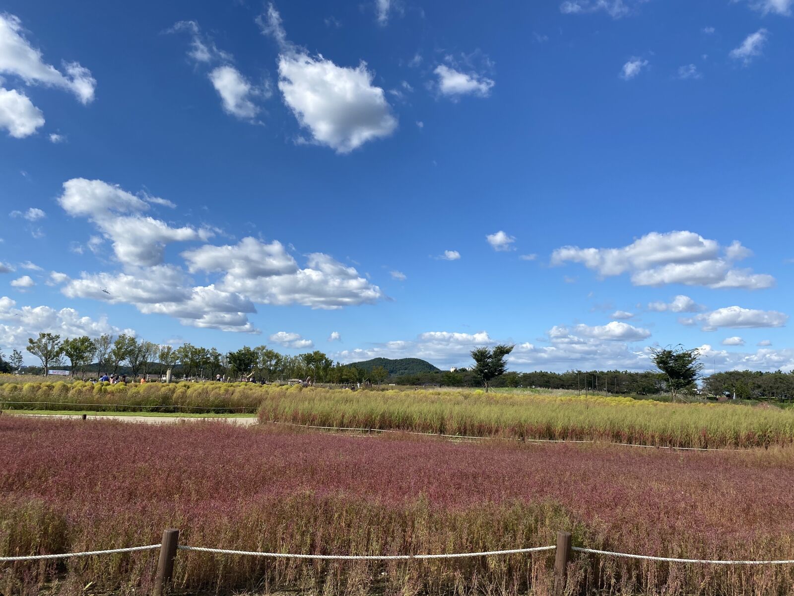 Apple iPhone 11 sample photo. Sky, peaceful, nature photography