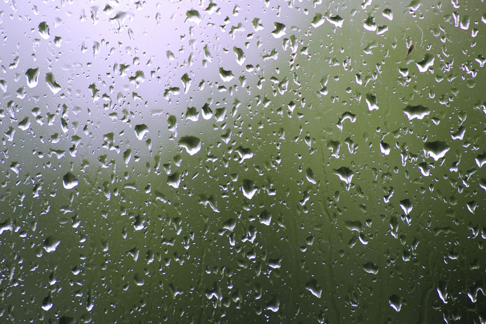 Nikon D600 sample photo. Rain, glass, drip photography