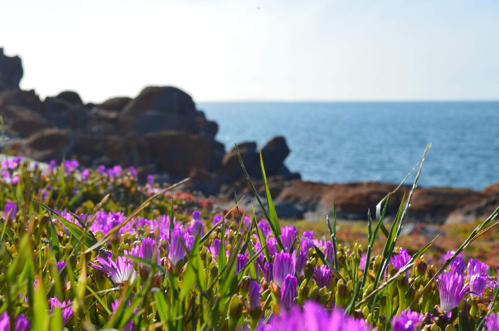 Nikon D3200 sample photo. Summer photography