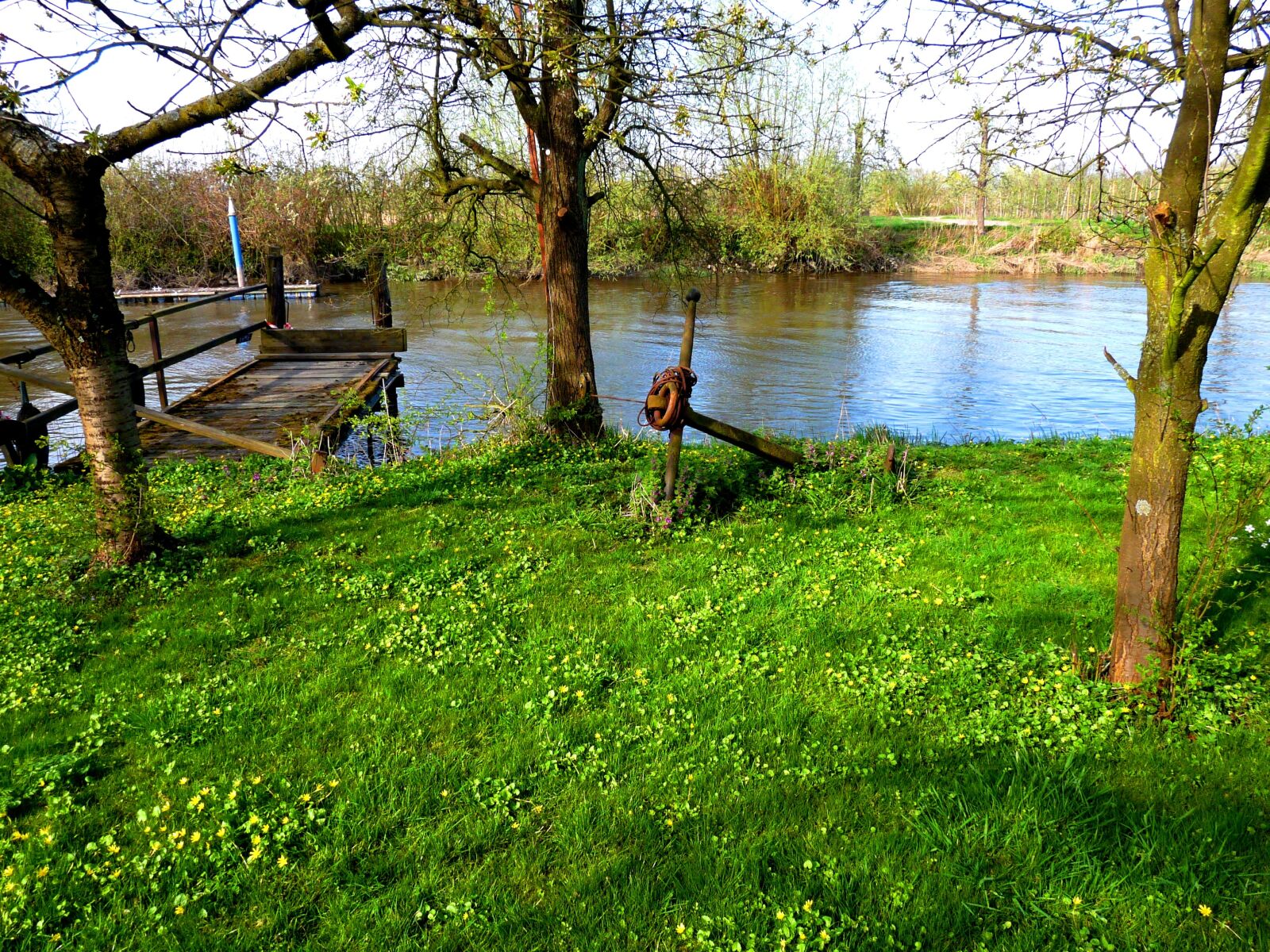 Panasonic Lumix DMC-FZ28 sample photo. Nature, l he, old photography